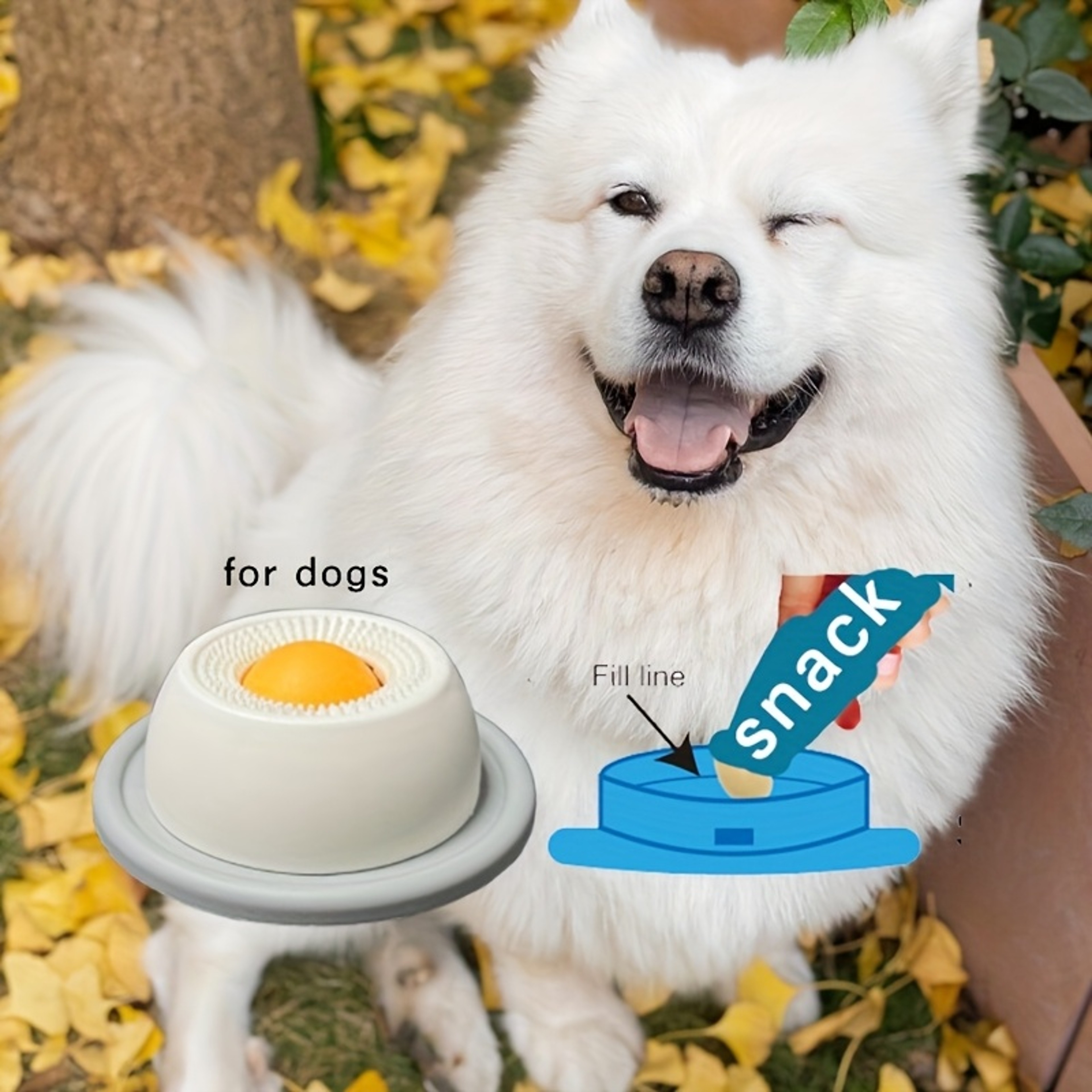 Puppy Training Enrichment, Interactive Dog Toys, Cat Feeding Crate Accessory – view 6