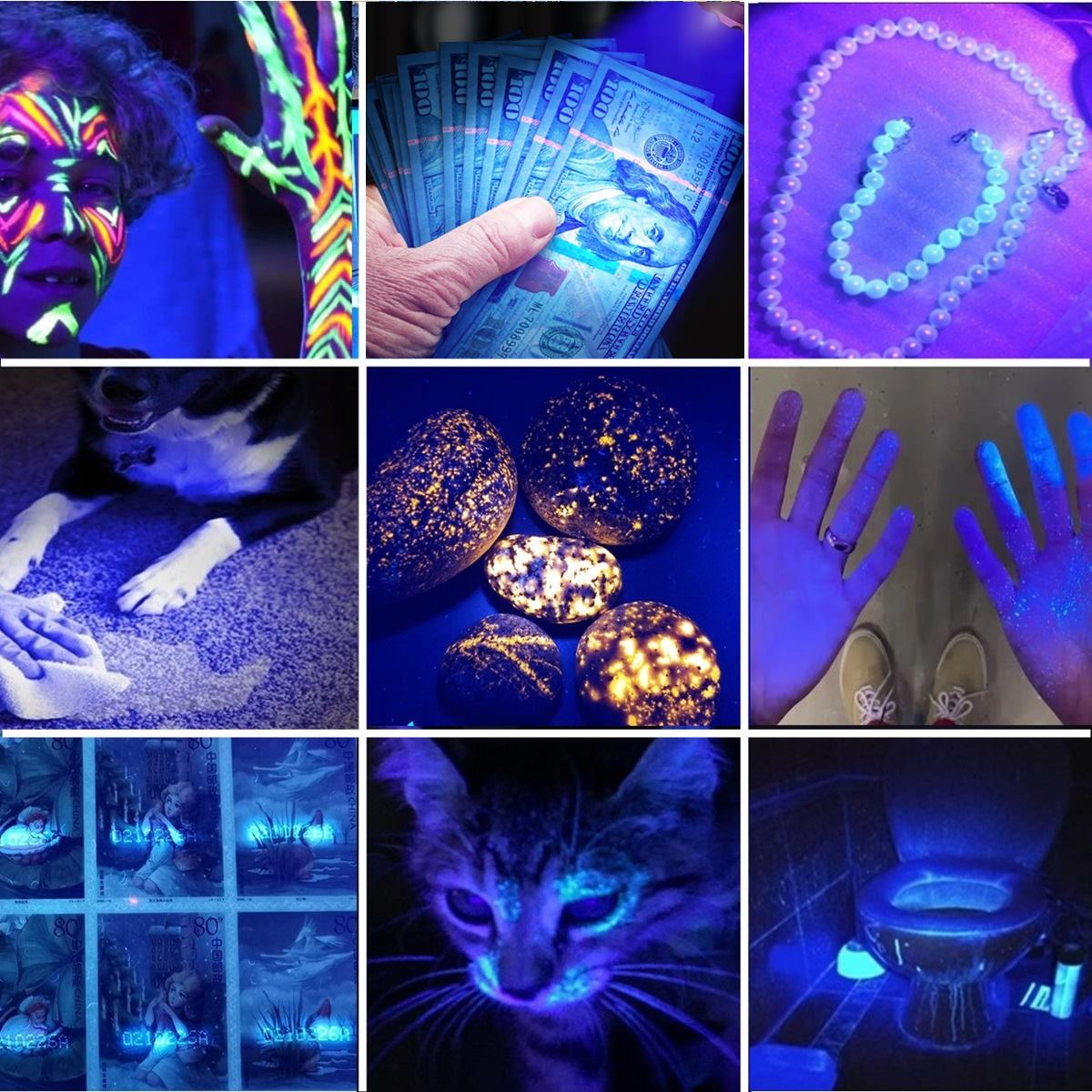 High Power UV Flashlight Powerful Rechargeable Blacklight for Urine Stains, Tinea, Scorpions & More – view 6
