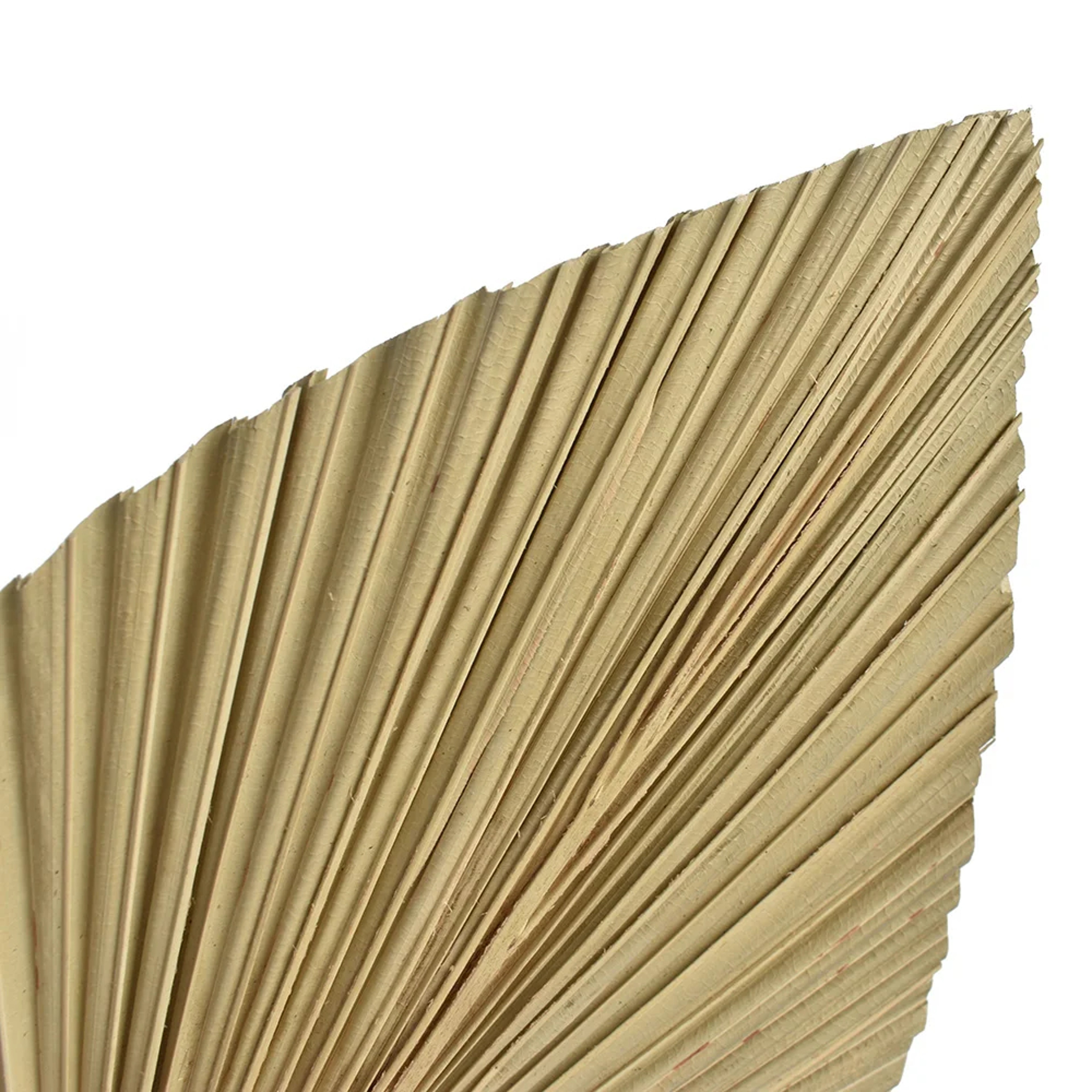 Boho Dried Palm Leaves Decor Set Mini Pampas Wedding Decor for Elegant Home Styling – view 6