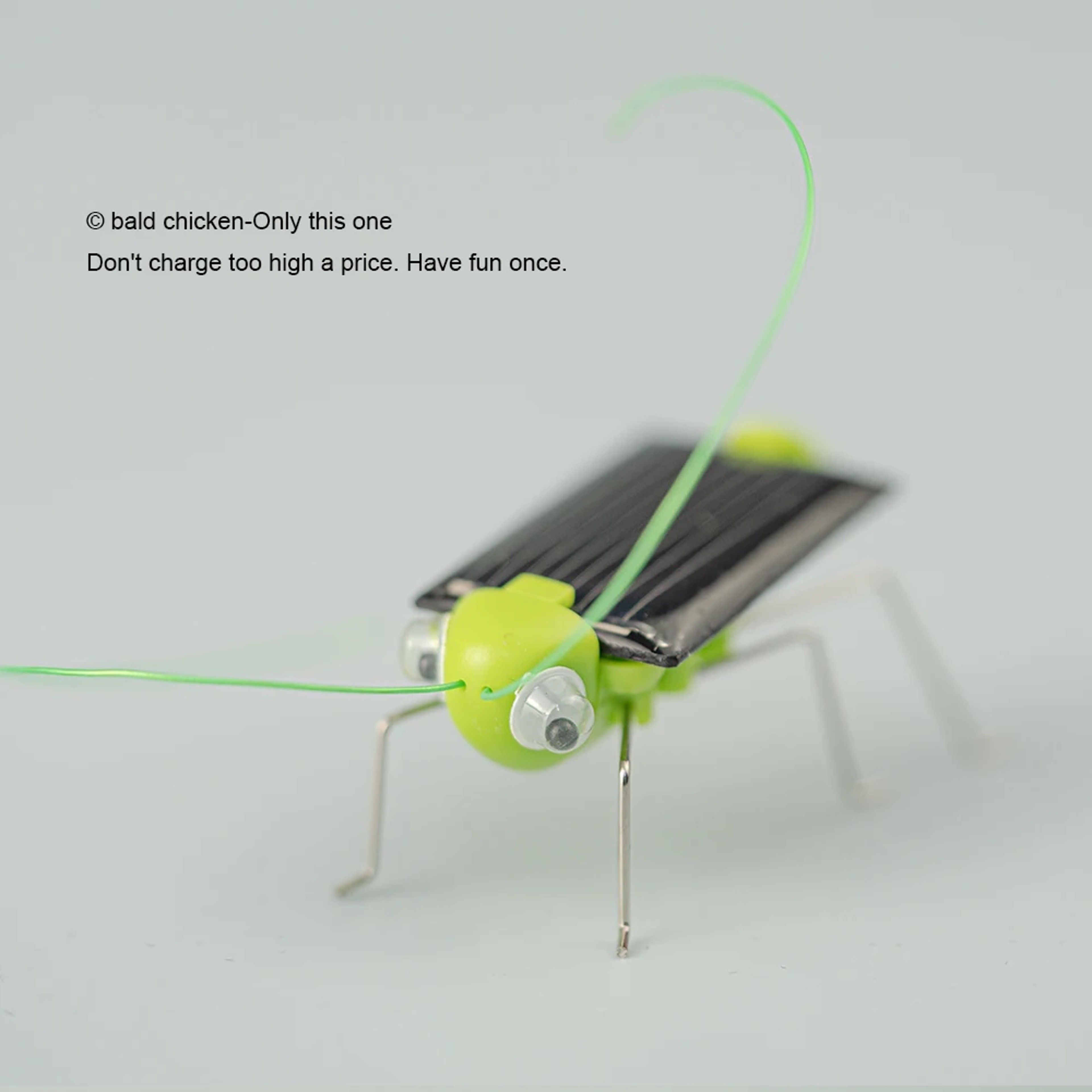 Solar Powered Grasshopper Toy STEM Science Kit for Kids Educational Moving Insect Toy – view 4