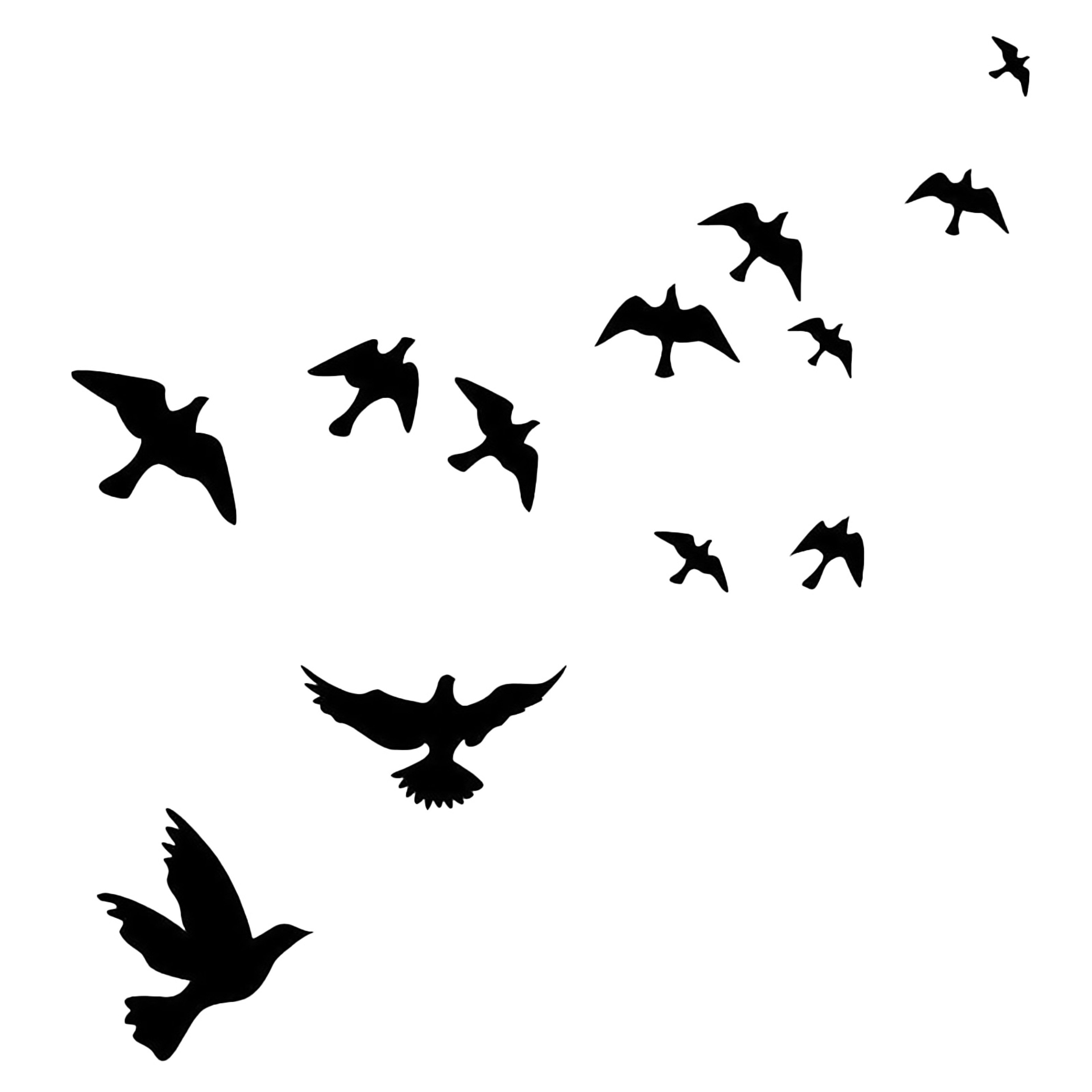 Window Alert Bird Window Stickers Anti Collision Decals for Glass Doors and Windows – view 7