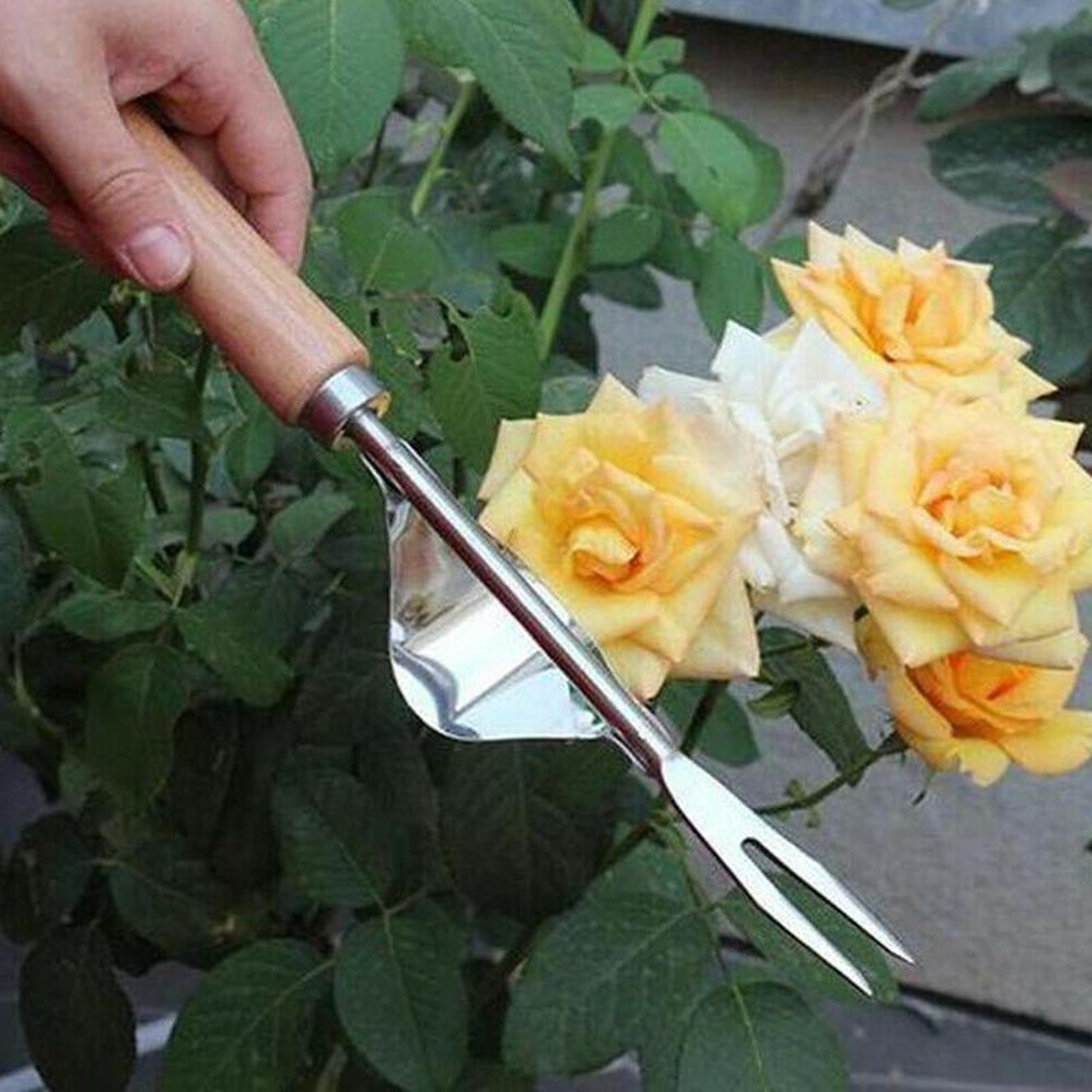Steel Root Extractor Hand Weeder Garden Weed Puller Tool 4