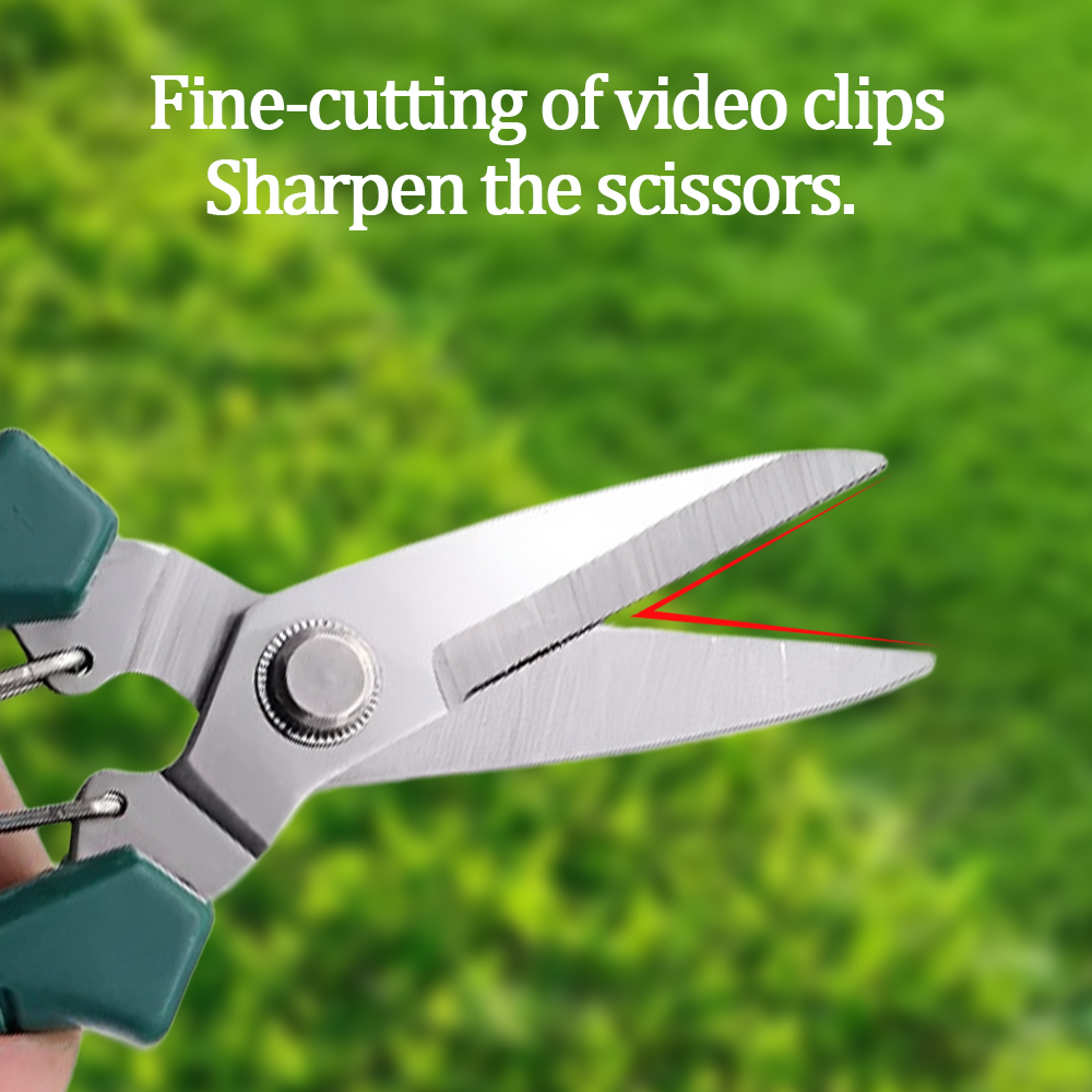 Stainless Steel Pruning Shears With Non Slip Handle For Bonsai And Garden Trimming 2