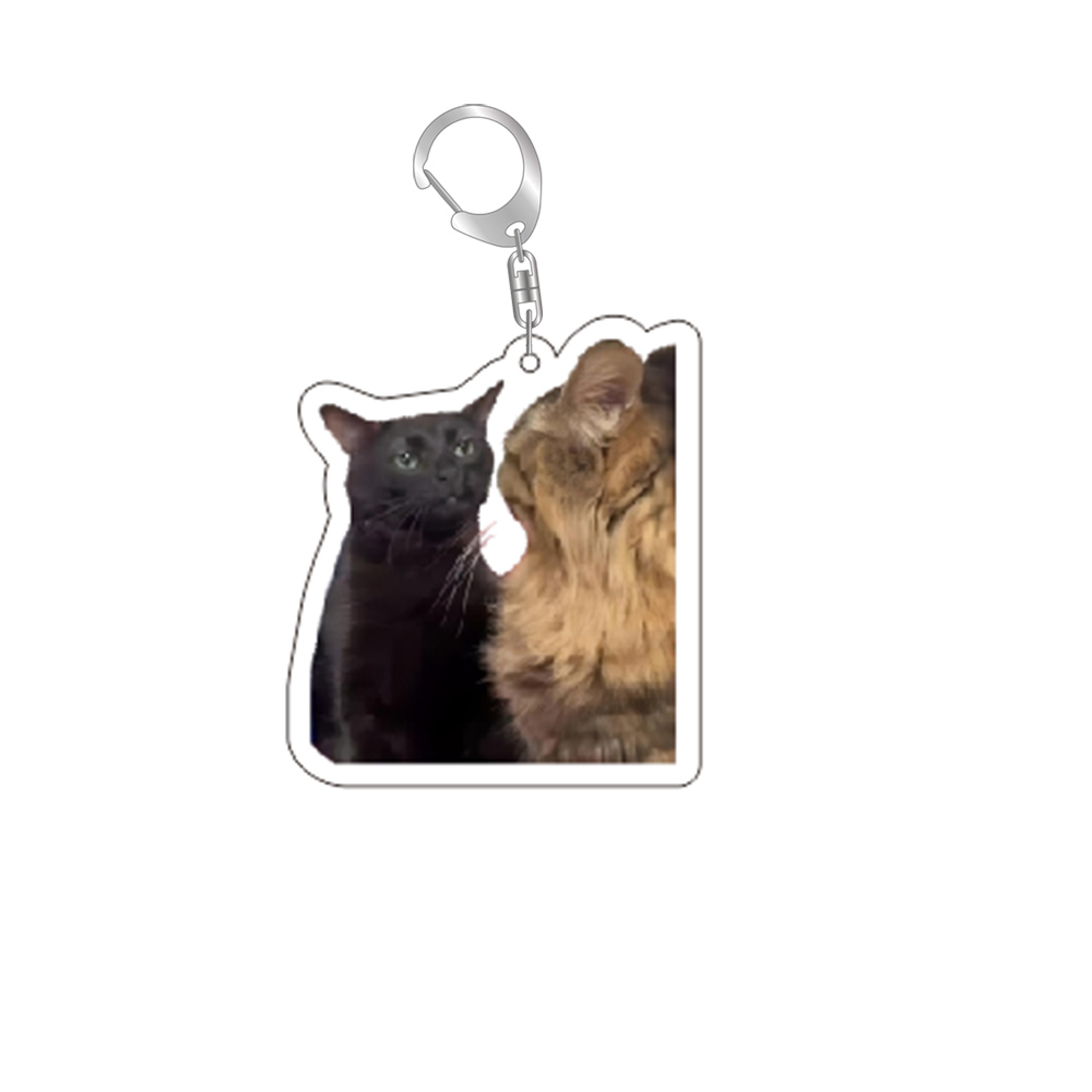 Funny Cat Meme Resin Keychain with D-Shaped Buckle – view 12