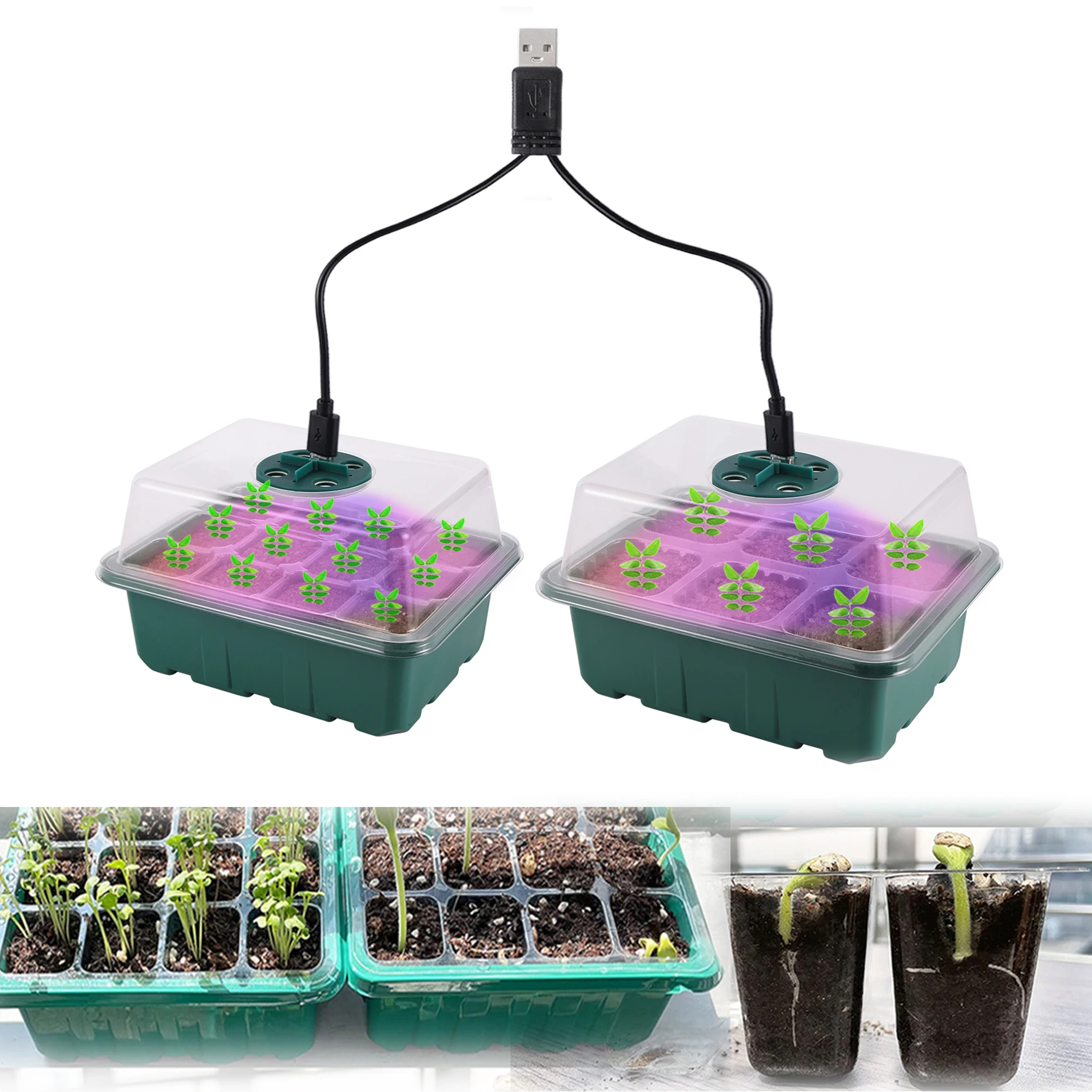 Seed Starter Tray with LED Grow Light and Adjustable Humidity Ventilation – view 1