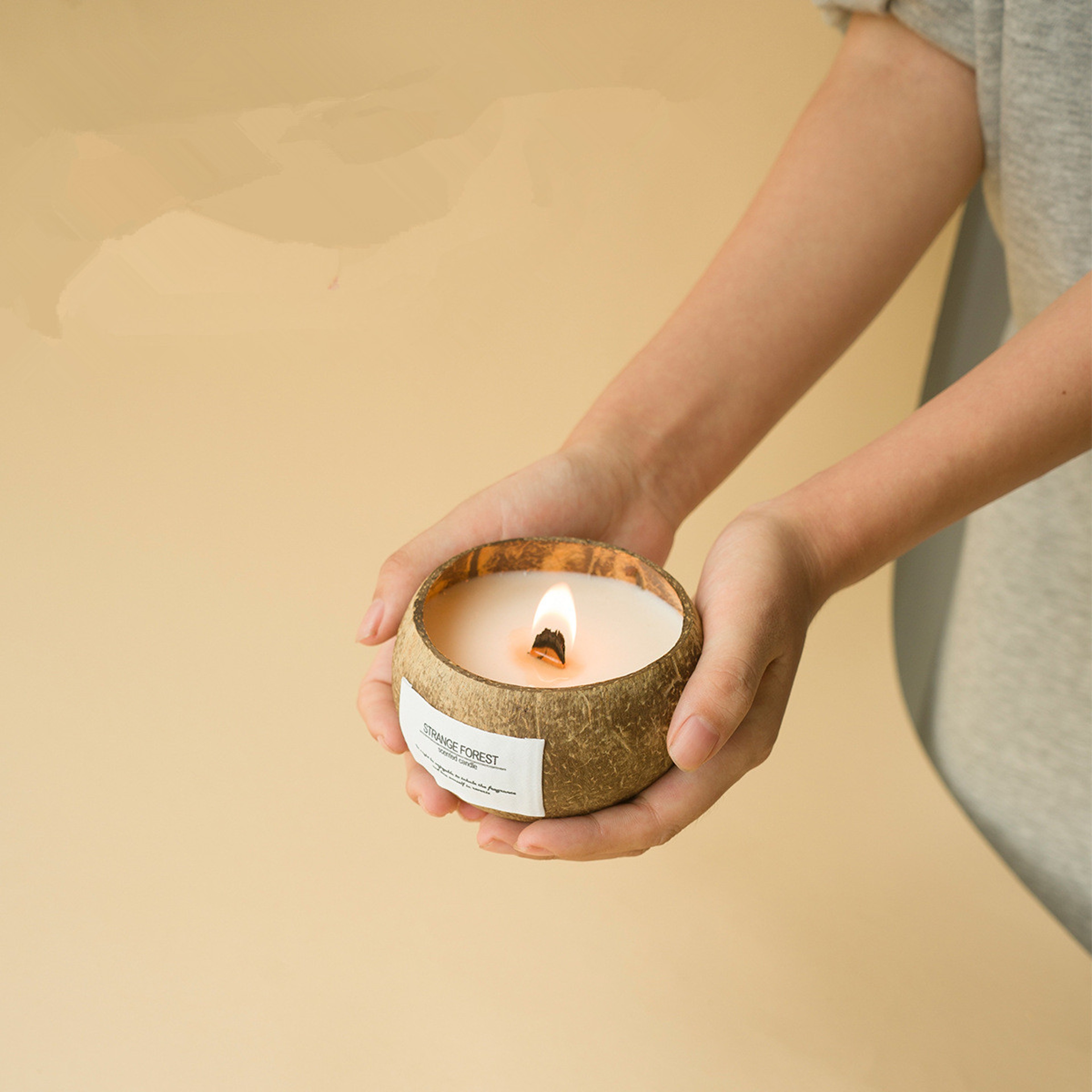 Handmade Coconut Shell Candle, Natural Soy Wax Aromatherapy Candle, Festival Gifts, Home Decoration, Gift – view 2