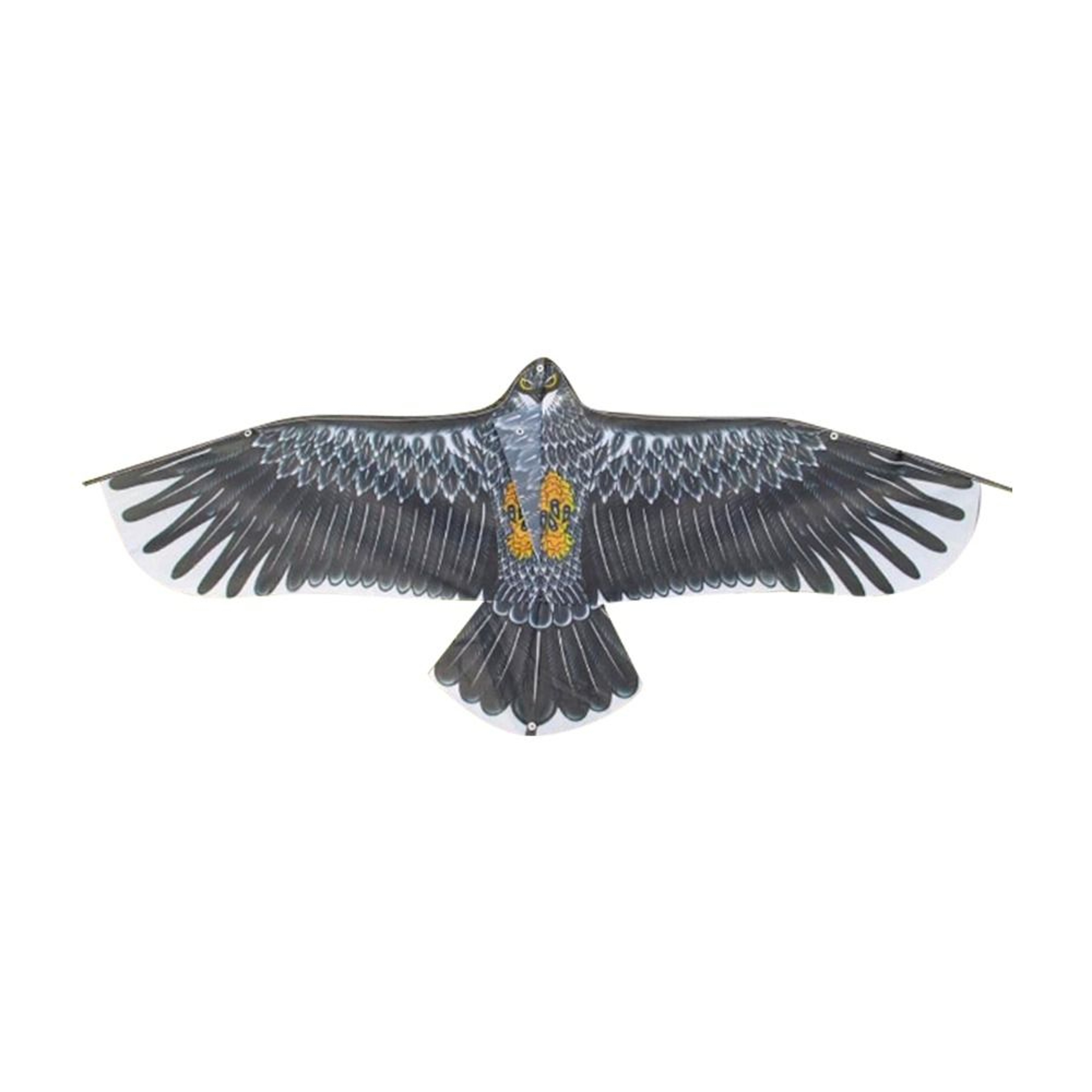 Large Eagle Kite With Line Outdoor Flying Bird Kite For Kids And Family Fun 1