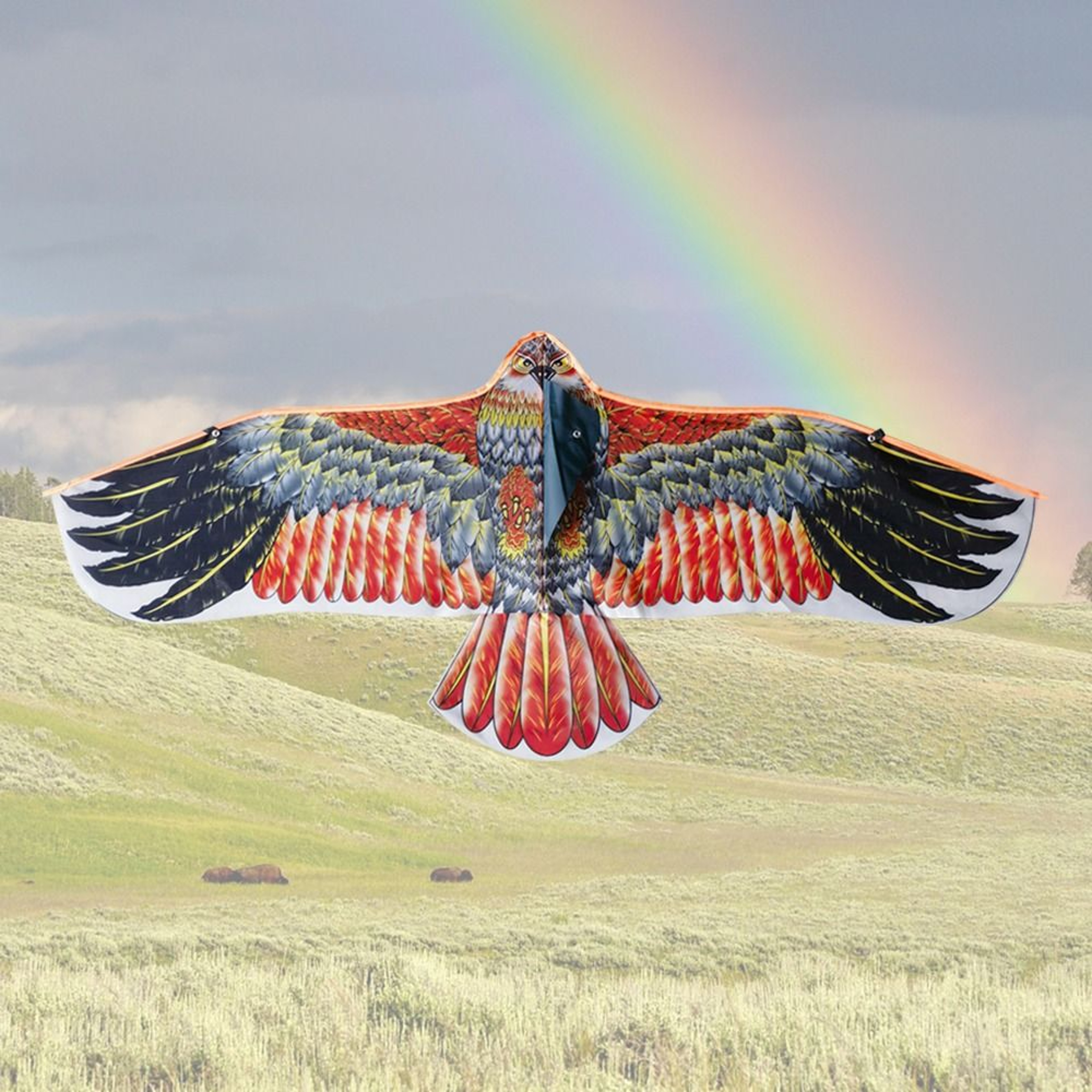 Large Eagle Kite With Line Outdoor Flying Bird Kite For Kids And Family Fun 2