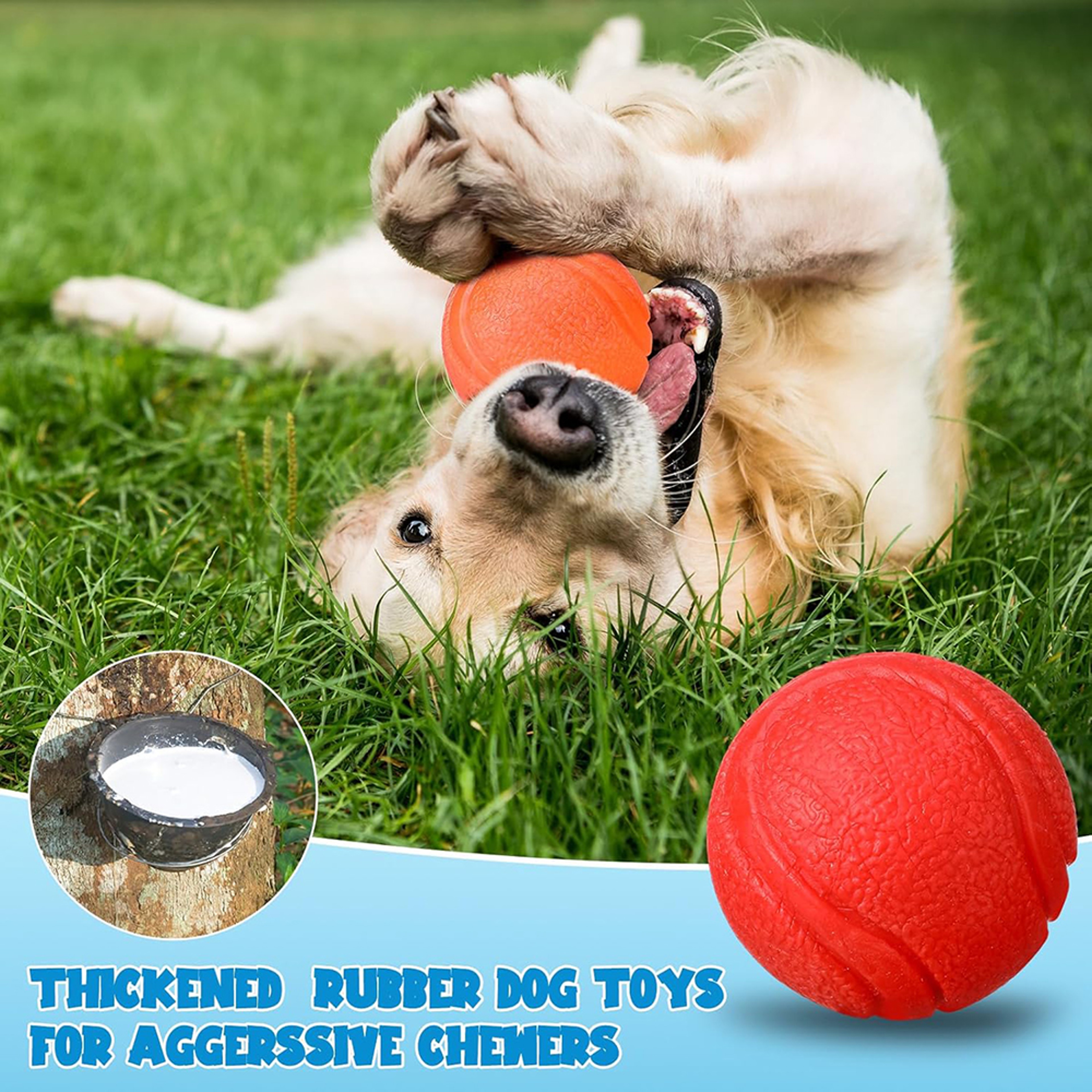 Elastic Dog Chew Ball Rubber Pet Training Ball For Teeth Cleaning  Interactive Play 3