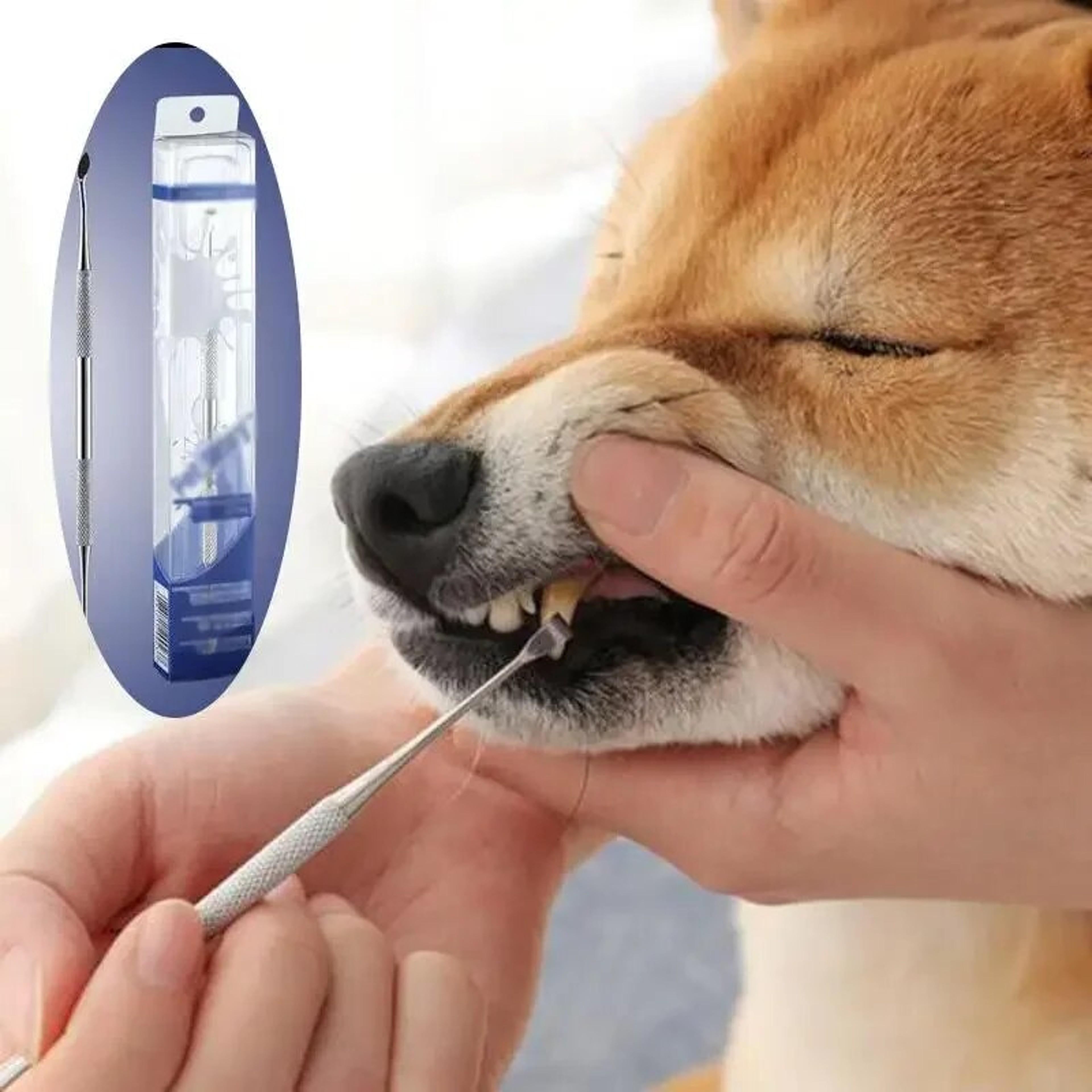 Stainless Steel Pet Tooth Scraper  Tartar Remover  Breath Freshener For Dogs And Puppies 0