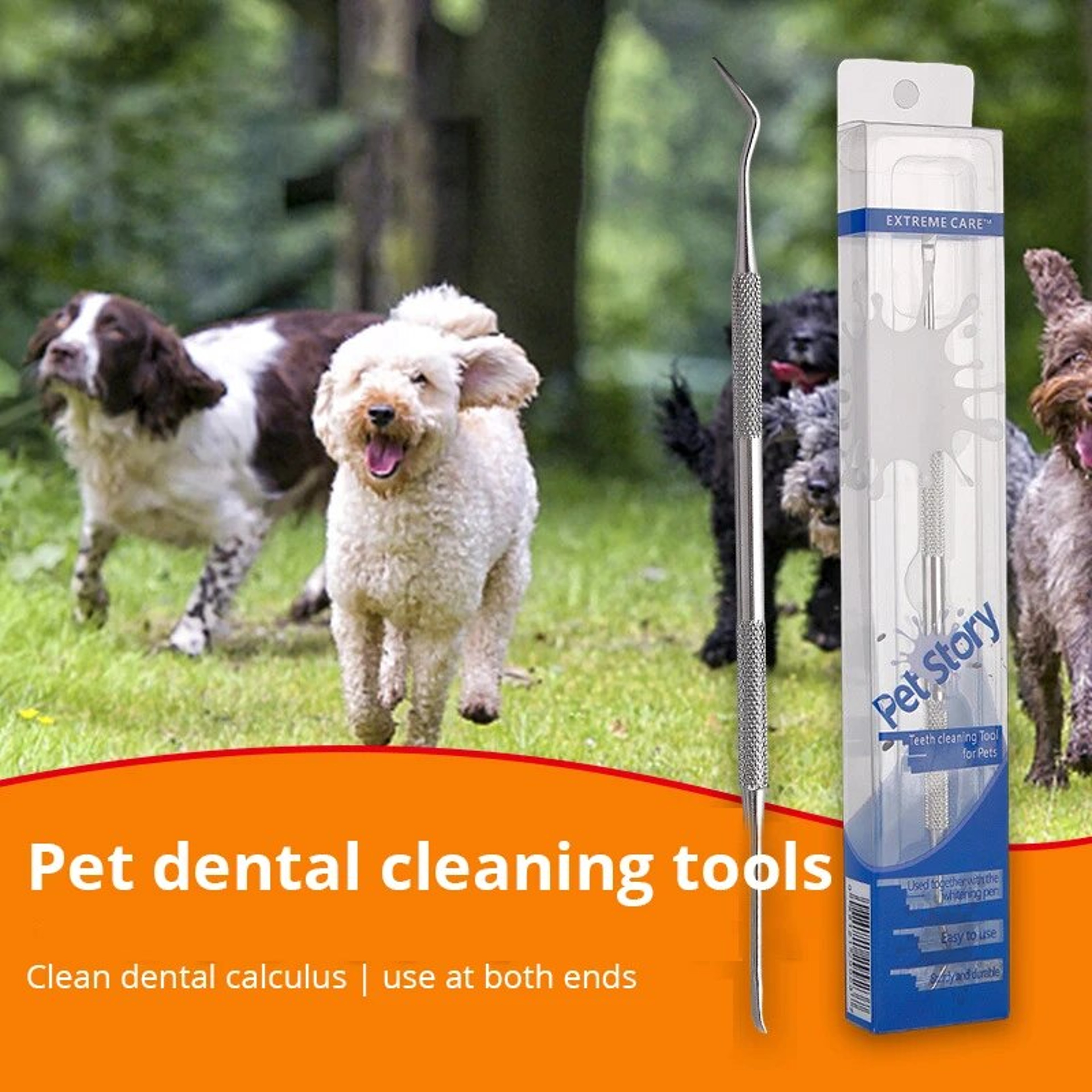 Stainless Steel Pet Tooth Scraper  Tartar Remover  Breath Freshener For Dogs And Puppies 1