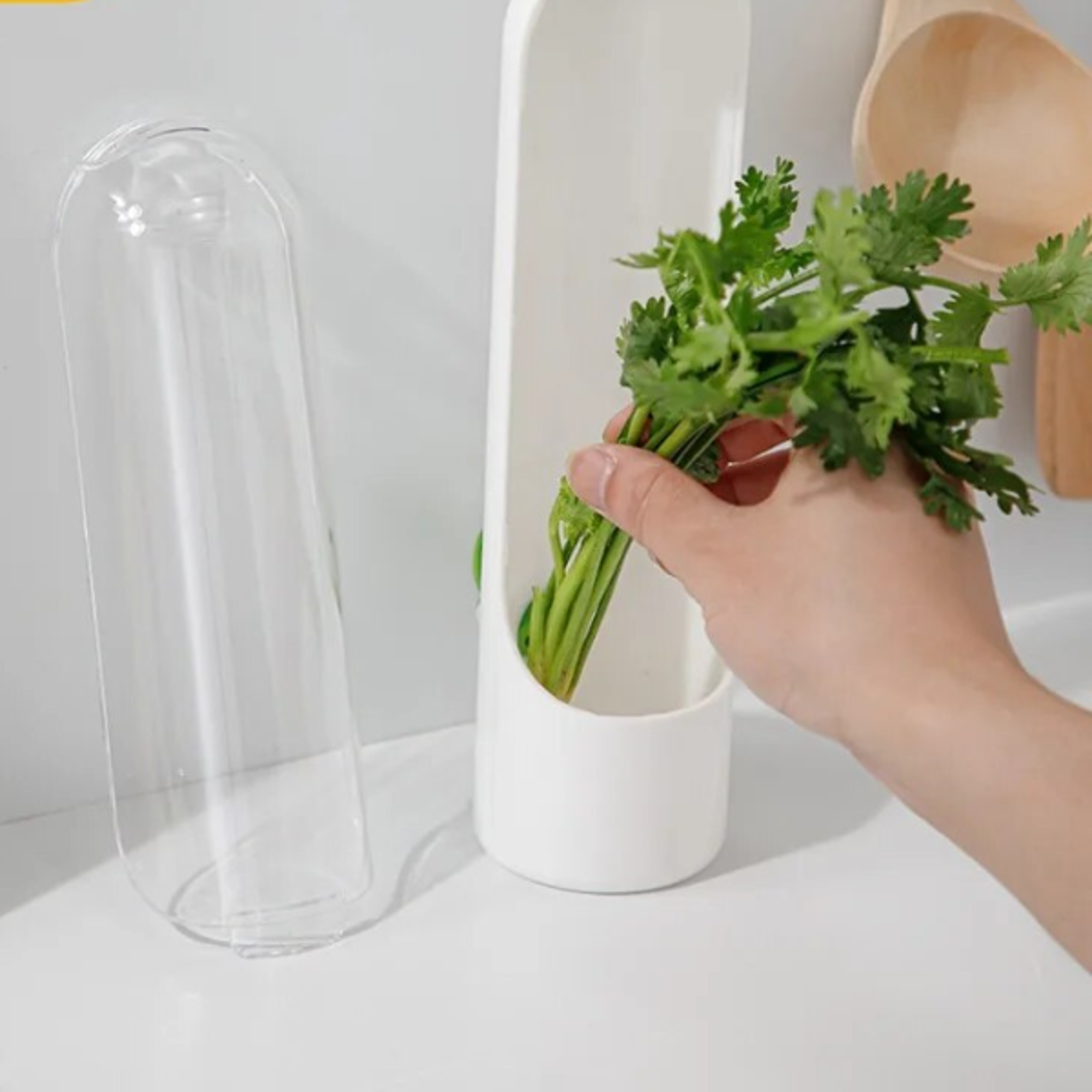 Crossborder Vanilla Vegetable Freshkeeping Box Dustproof Antipressure Environmental Protection