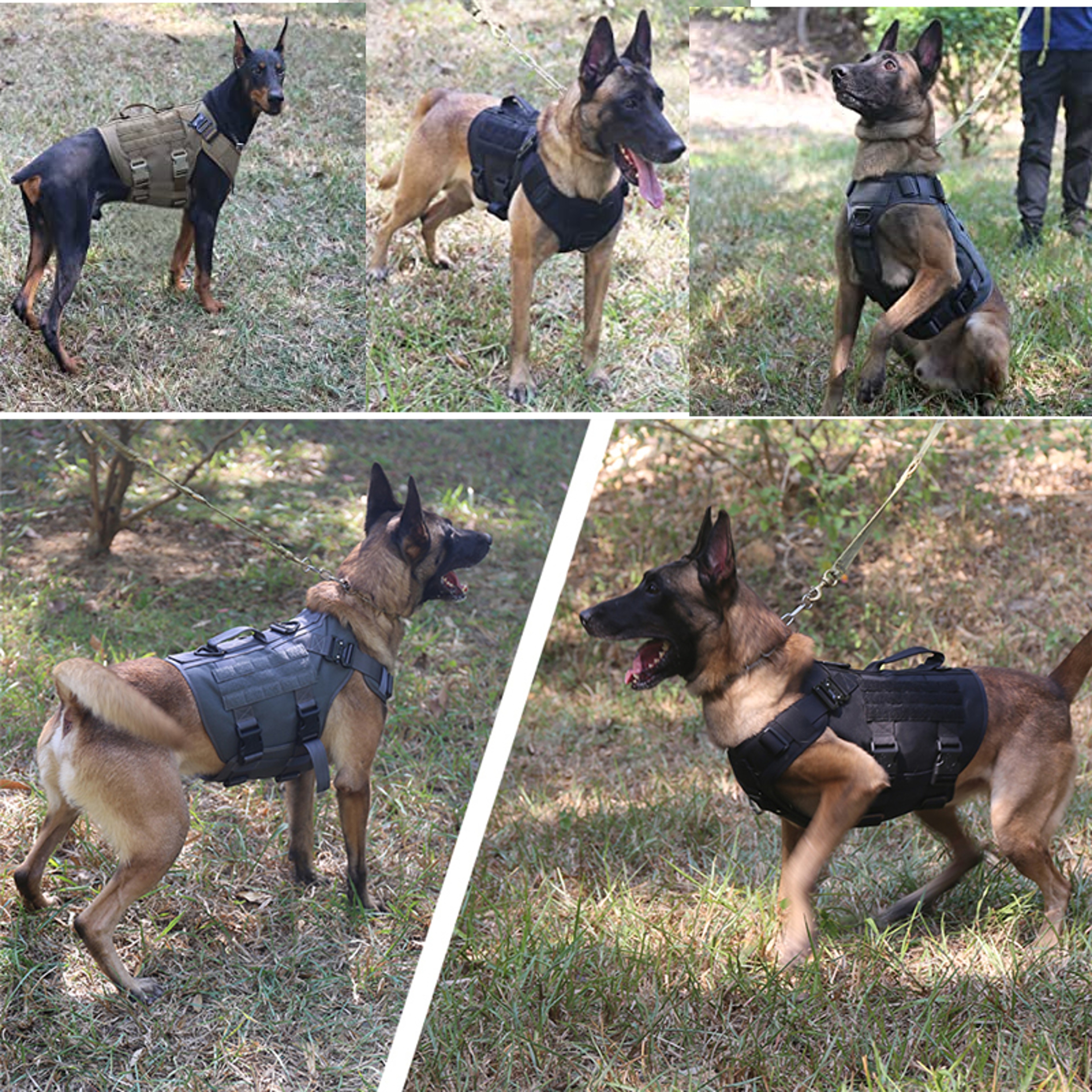 Tactical Dog Harness And Leash Set For Training Walking And Outdoor Adventures 5