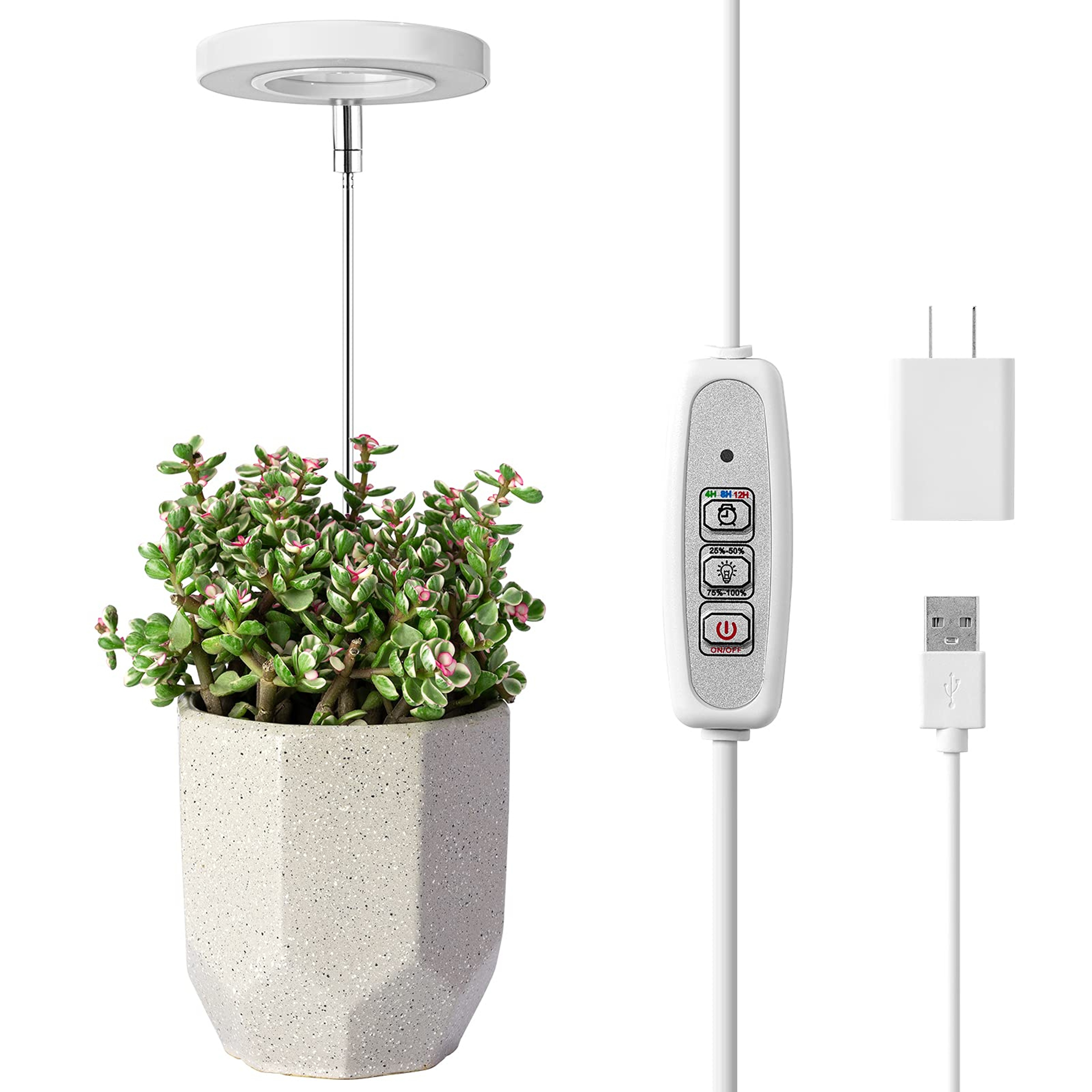 Indoor Plant LED Grow Light Full Spectrum Floor Lamp with Timer Dimming and Adjustable Height for