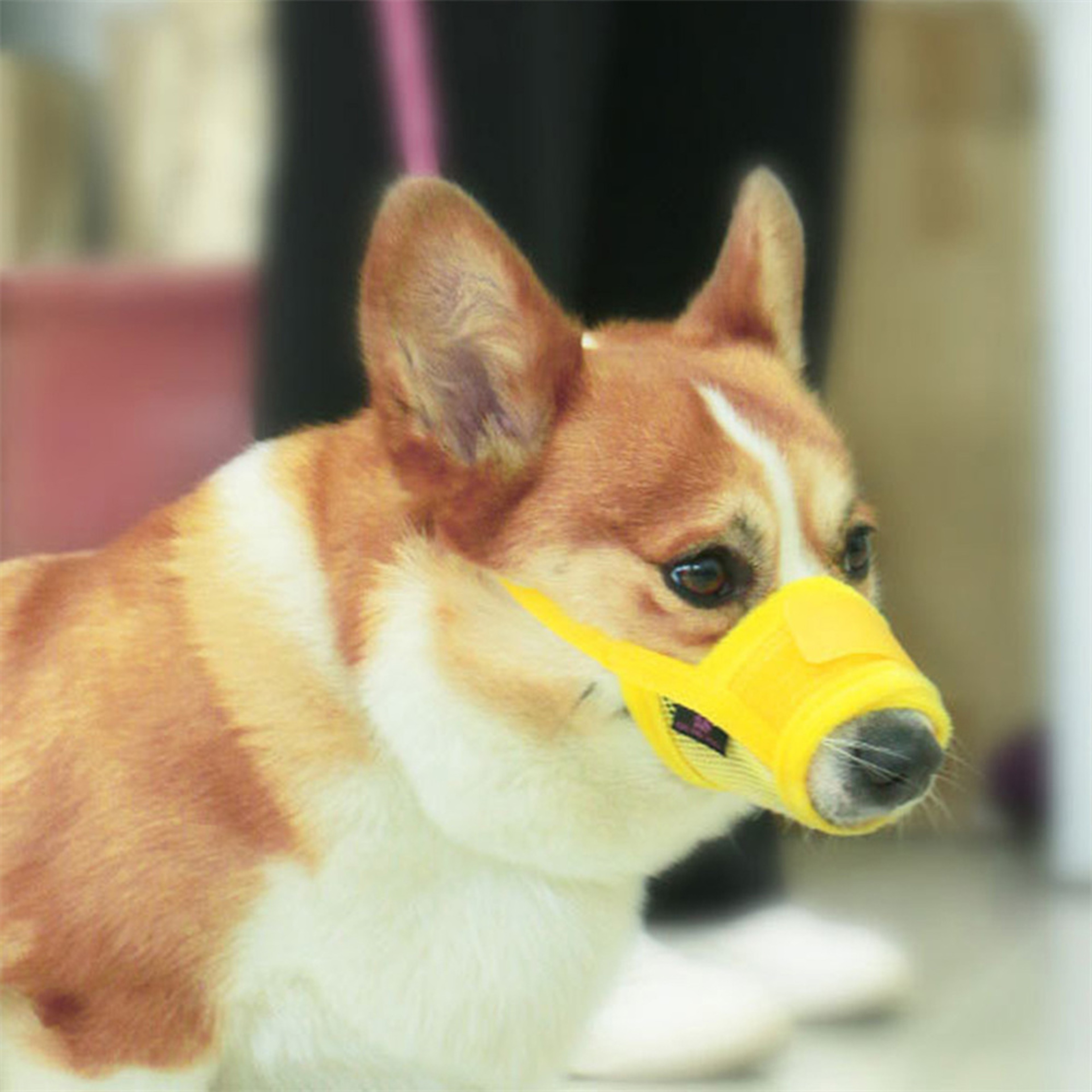 Mesh Breathable Pet Mouth Cover Muzzle Adjustable Anti Barking Dog Muzzle For Dogs Anti Biting Muzz 2