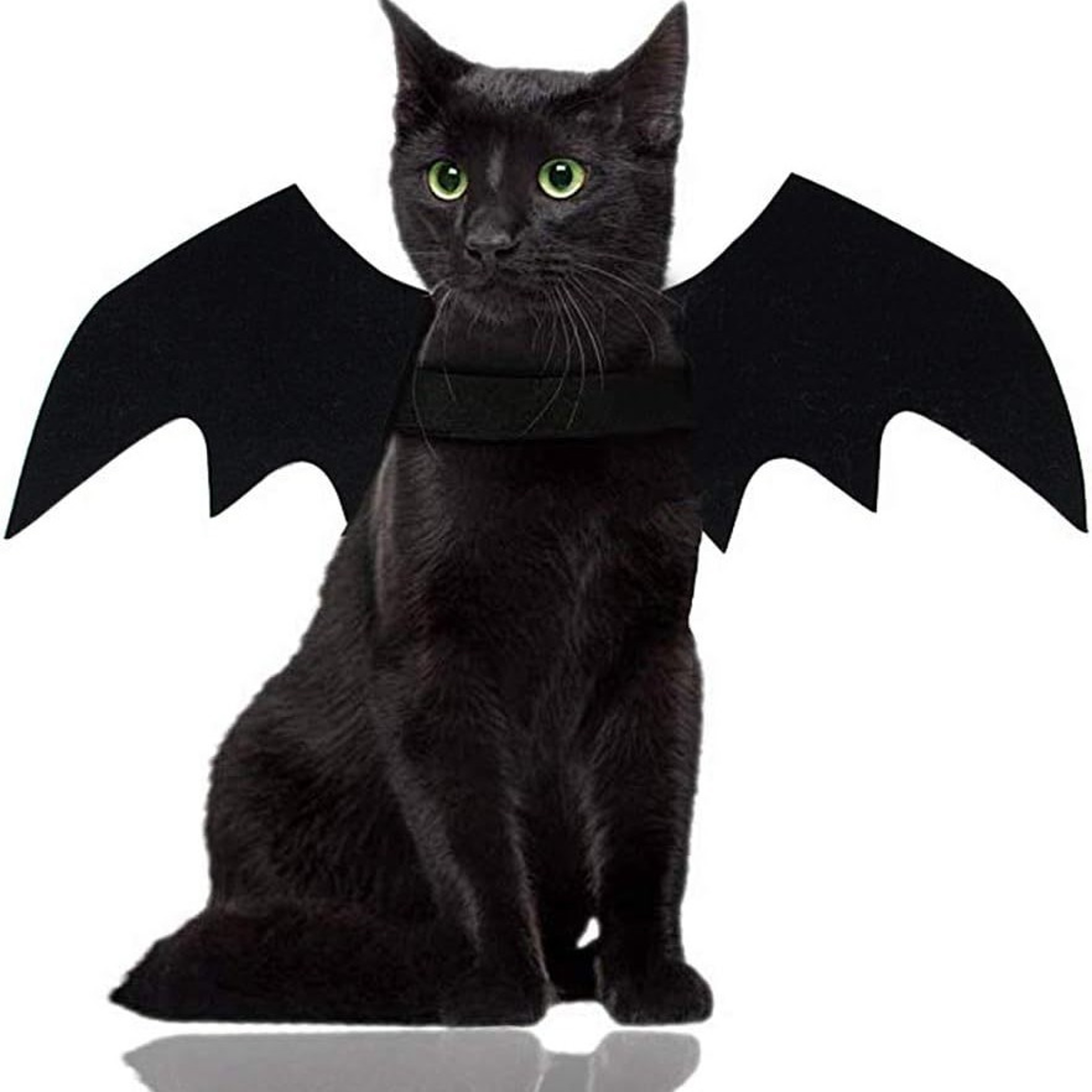 Wholesale Cute Cat Cosplay Costume Black Bat Wings Safety Belt Role Playing Pet Cat Dog Halloween Party Decoration Supplies – view 1