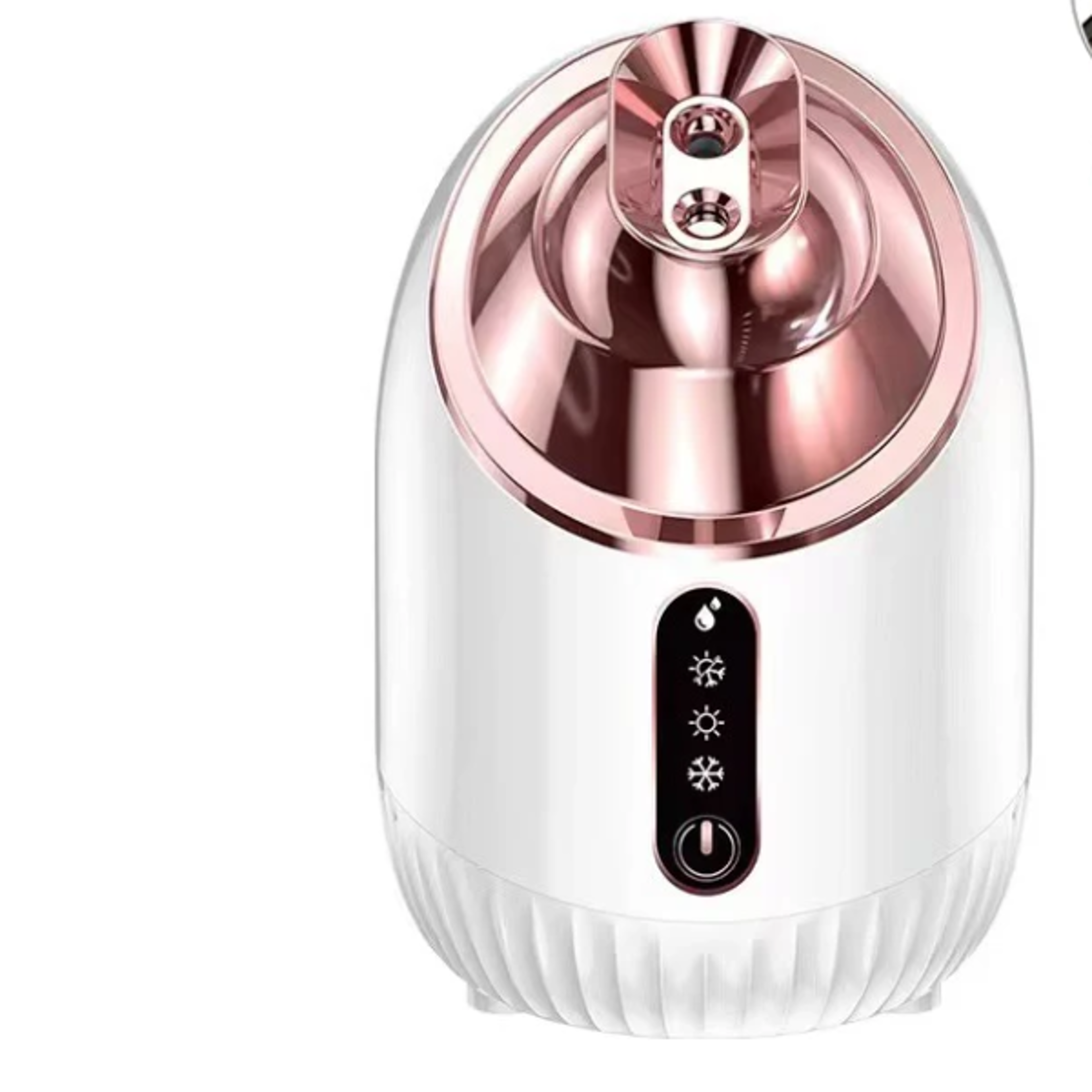 Facial Steamer Cold and Warm Mist Humidifier for Face Sauna Deep Cleaning Vaporizer Sprayer Salon Ho