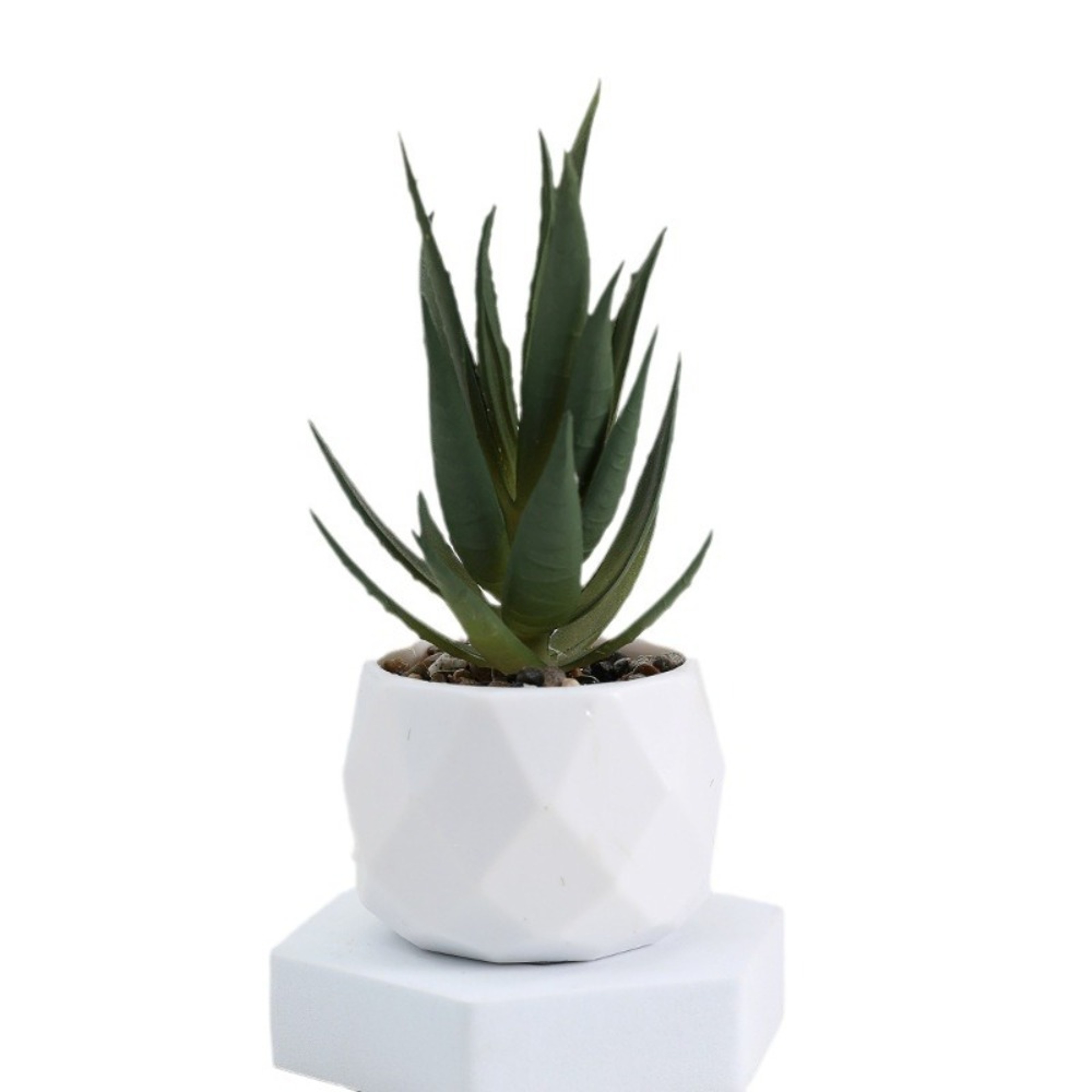 Simulation Succulents Plastic Bonsai Plants Artificial Evergreen Cactus Decor 4