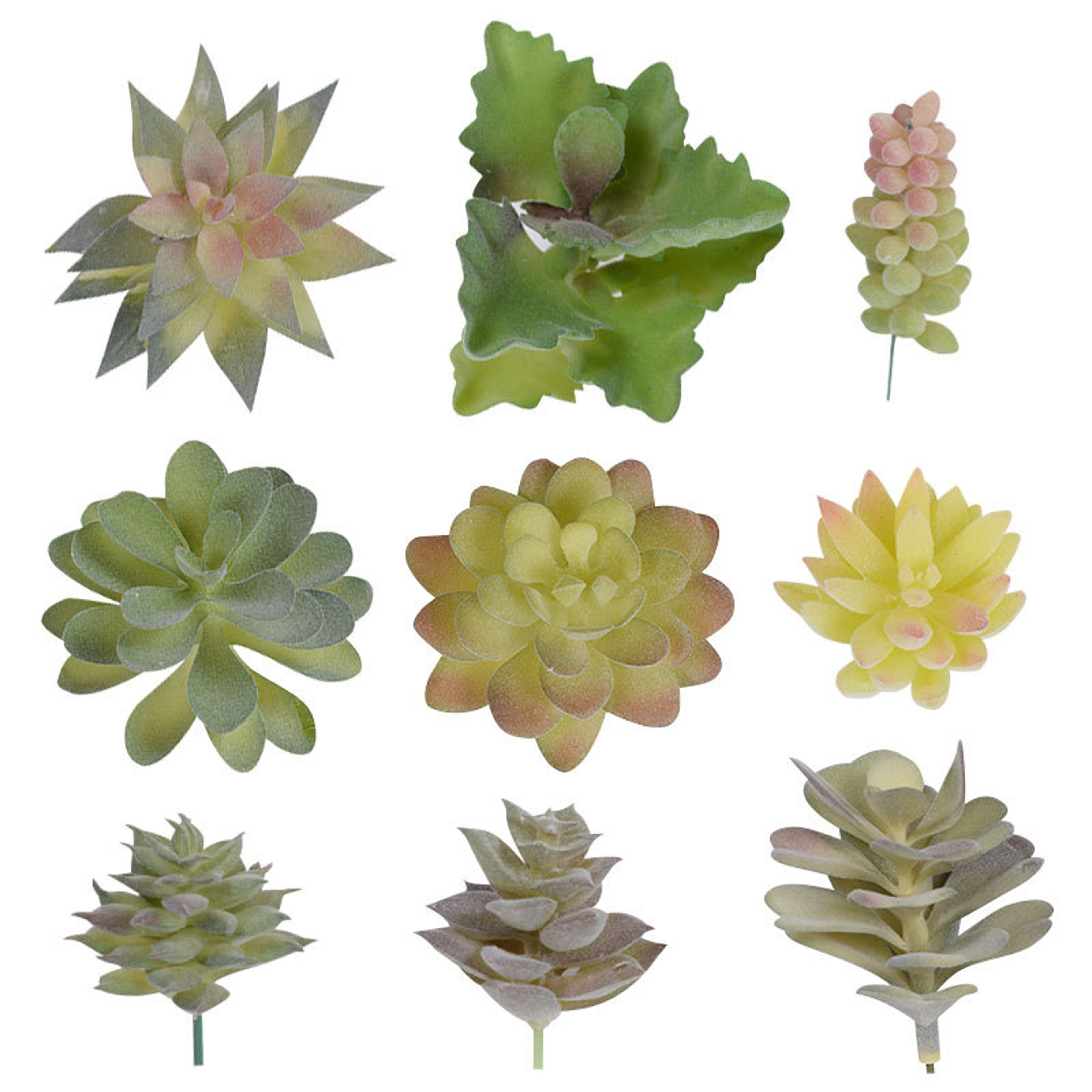 Cactus Small Ornaments Succulent Plants Green Plant Decorations Indoor Office Bonsai Garden Potted  3