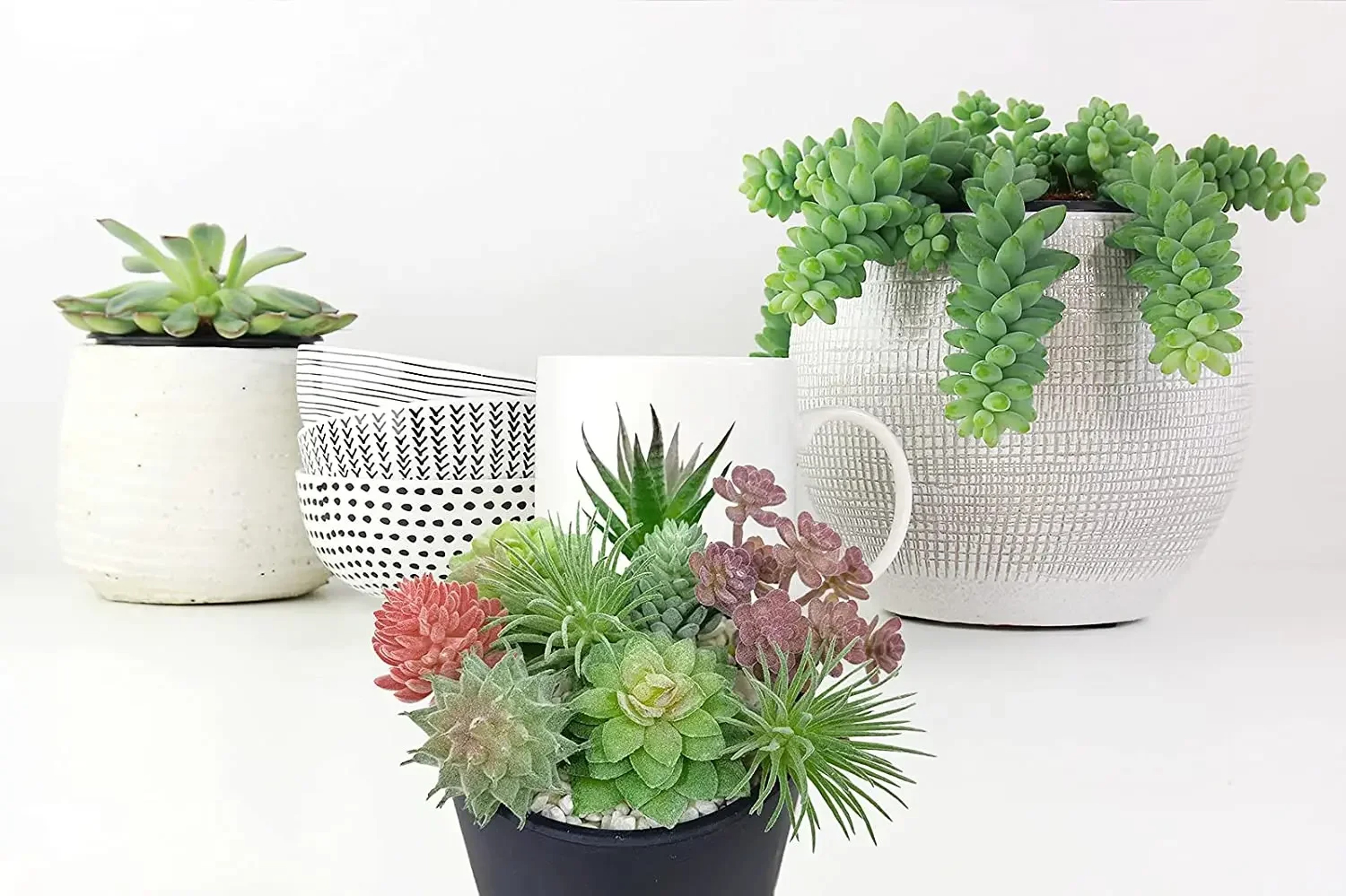 Small Succulent Plants for Home, Artificial Succulents for Indoor Decor – view 3