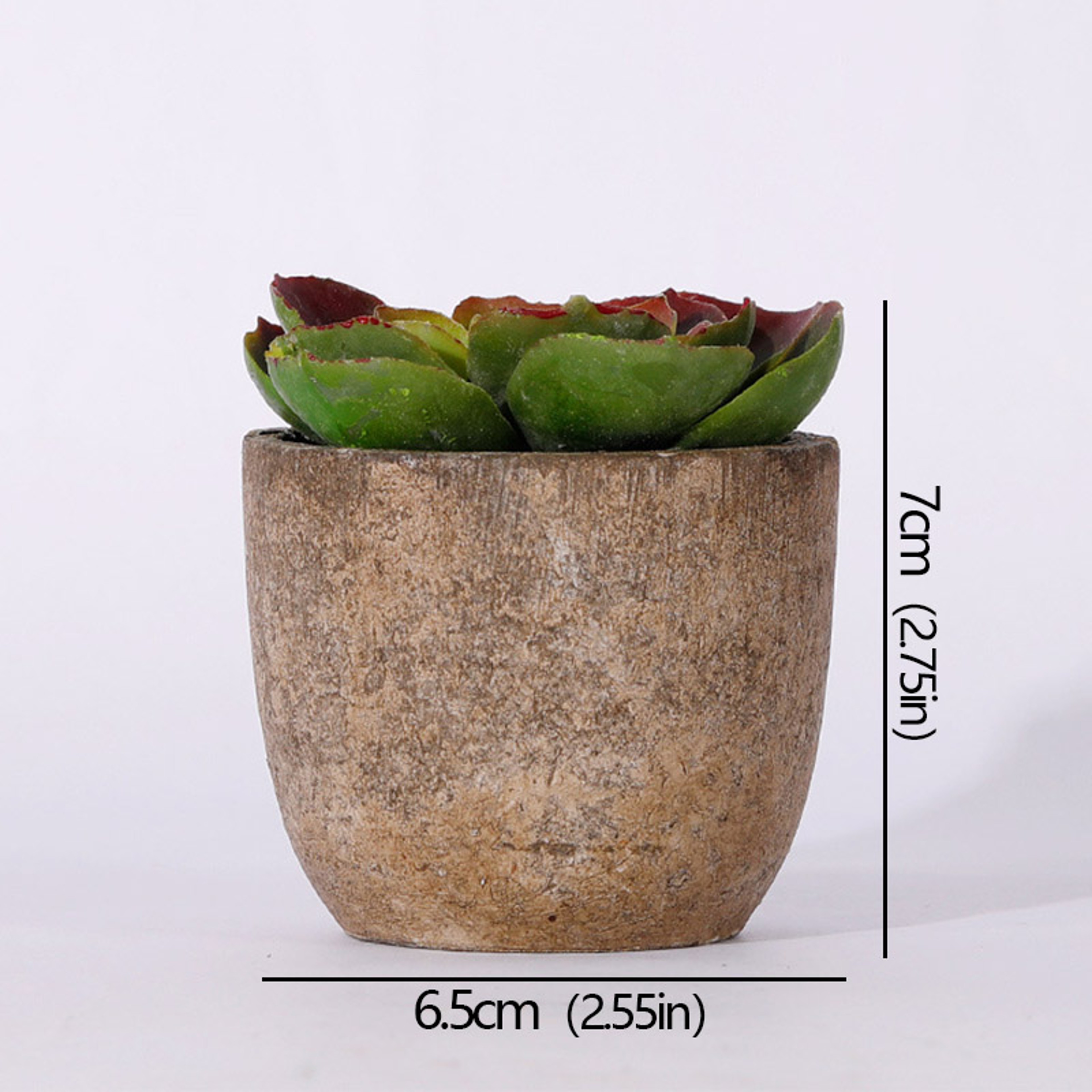 Artificial Succulent Plants, Mini Evergreen Fake Tree Pot, Small Decorative Plants for Office Table and Home Garden Deco – view 15