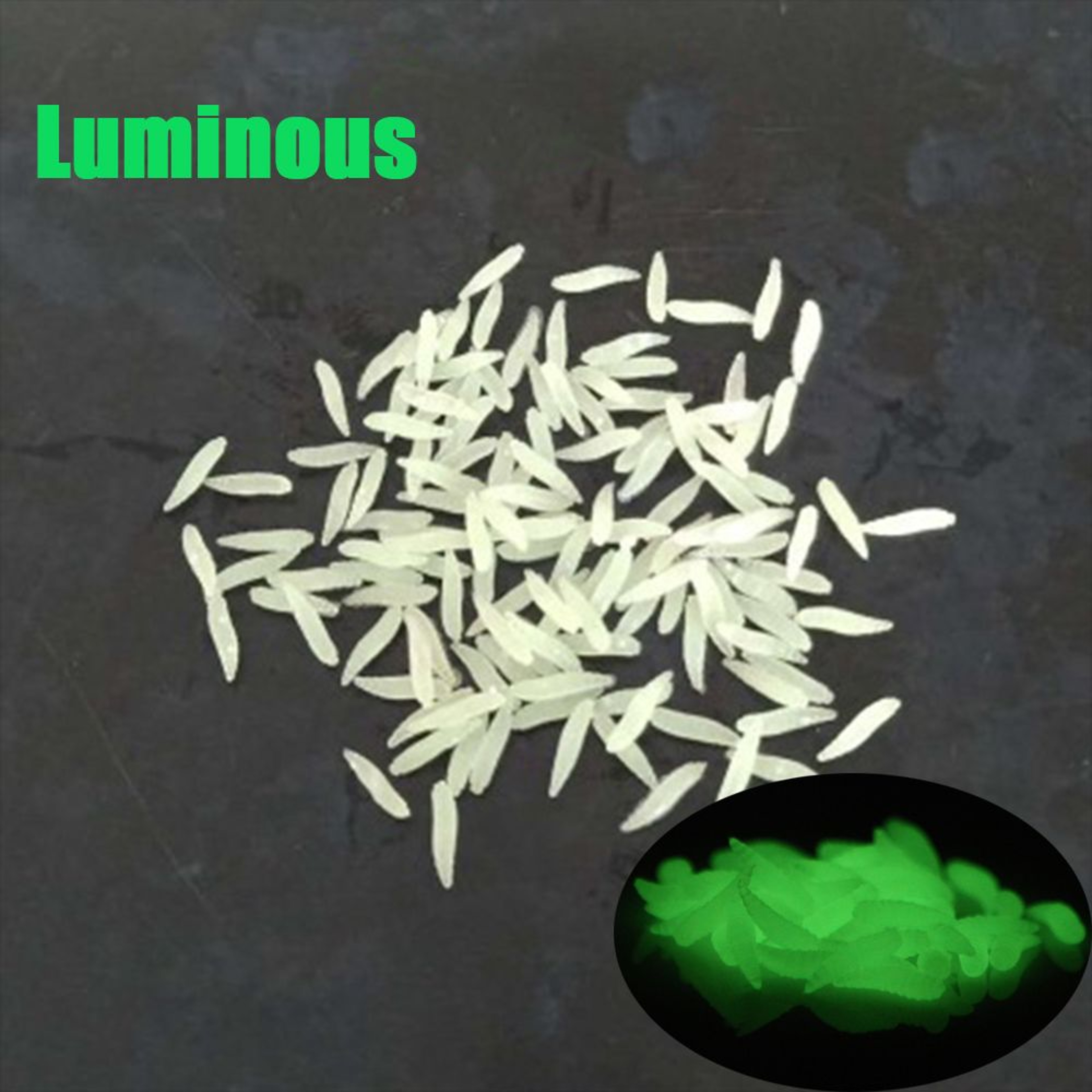 Excellent Toughness Silicon Fishing Worm Lures Maggots Shape Bait Tackle – view 2