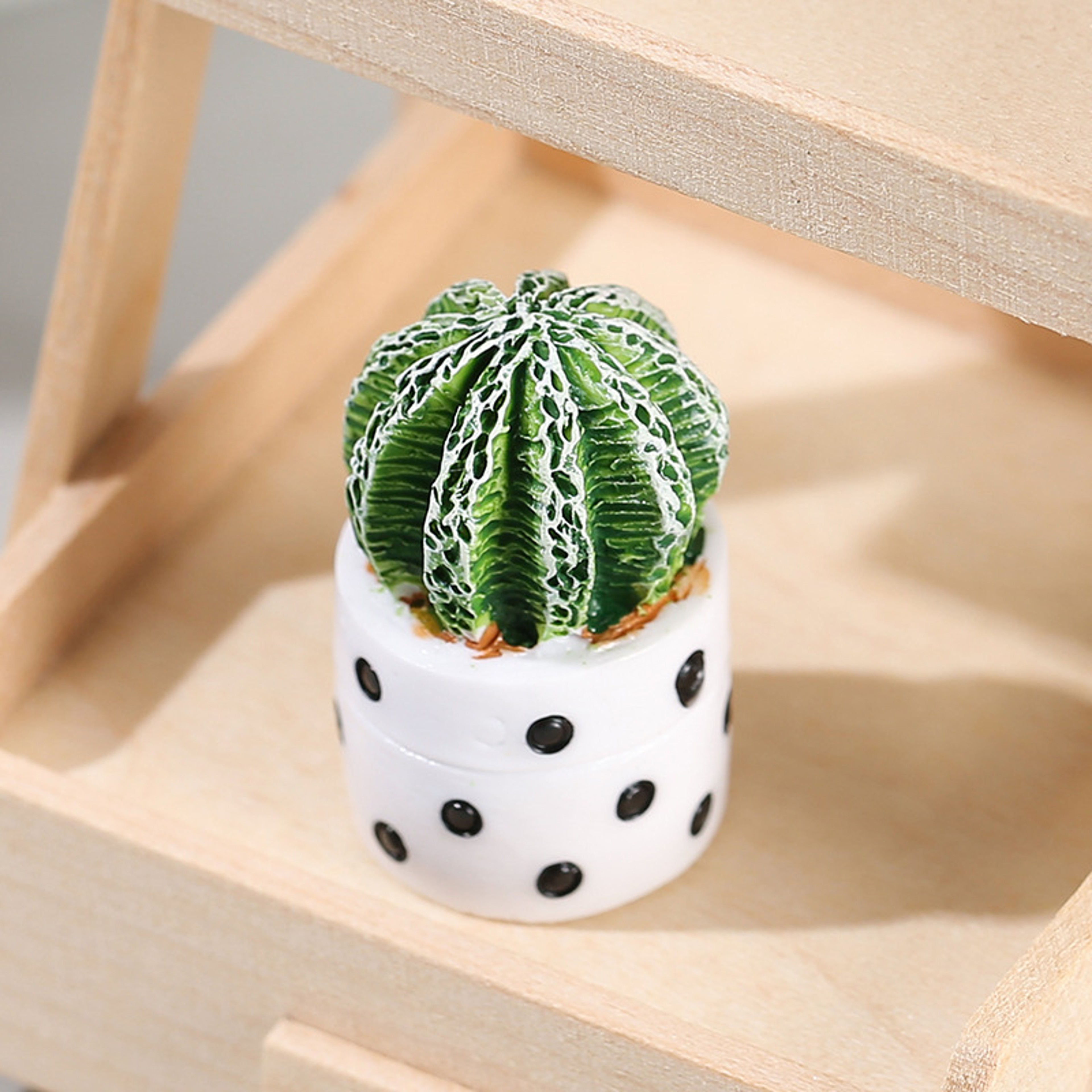 Cute Cactus Plant Potted Plants, Succulent Potted Ornaments, Indoor Desktop Decoration – view 5