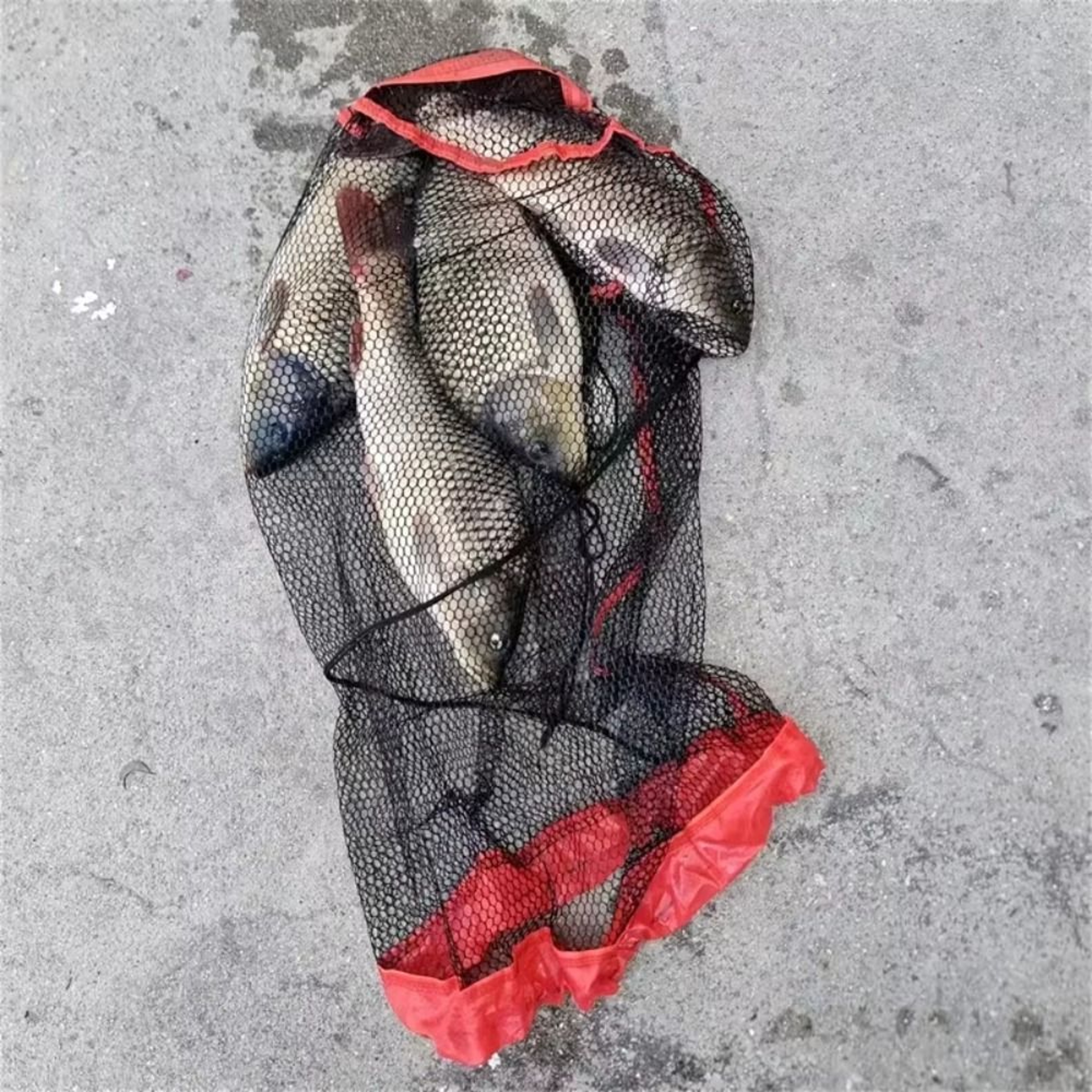 Small Grid Fishing Net Bag, Foldable Live Fish Nets, Nylon Mesh with Drawstring – view 3