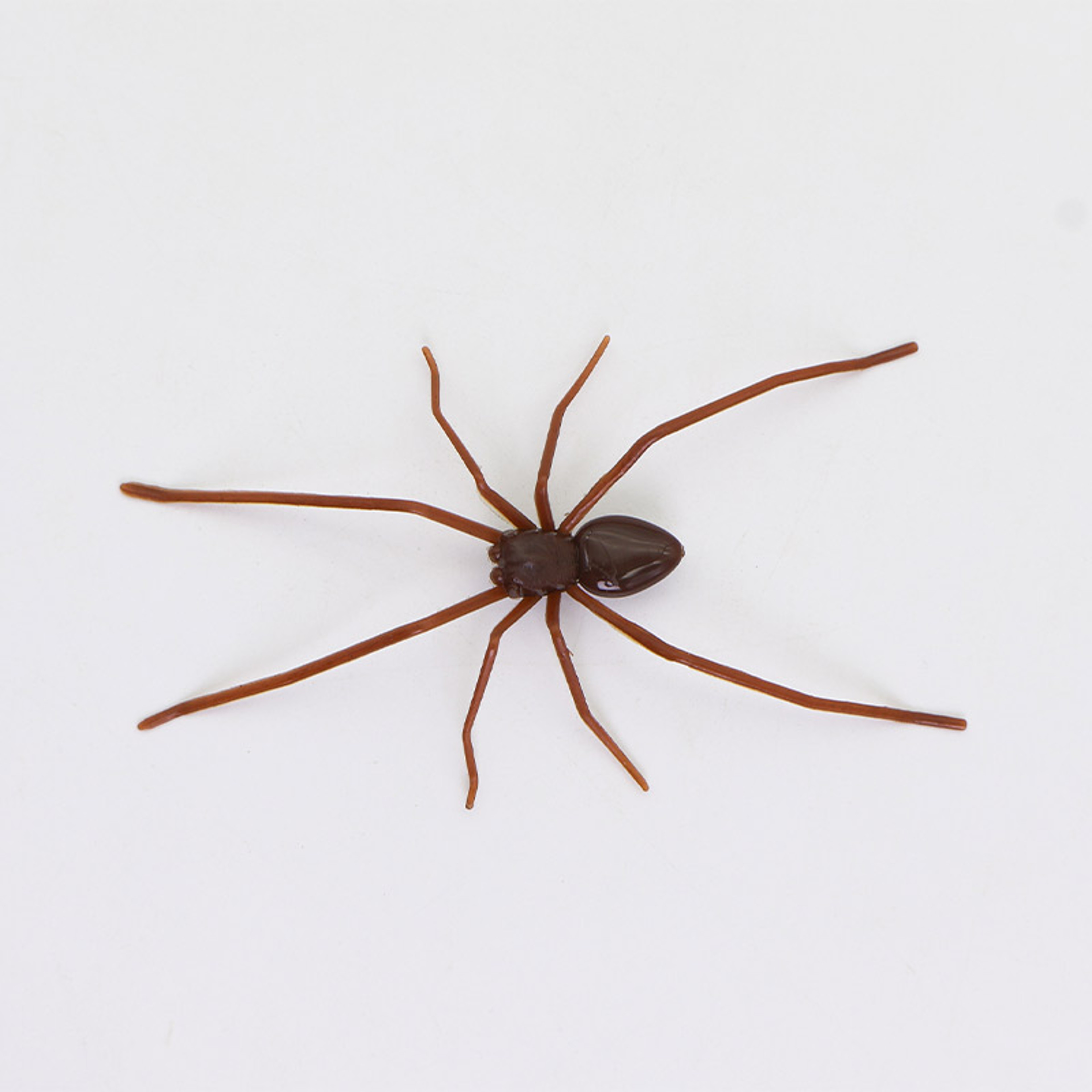 Spider Magnet Home Decor Accessories, Fun Novelty Magnetic Fridge Decor – view 7