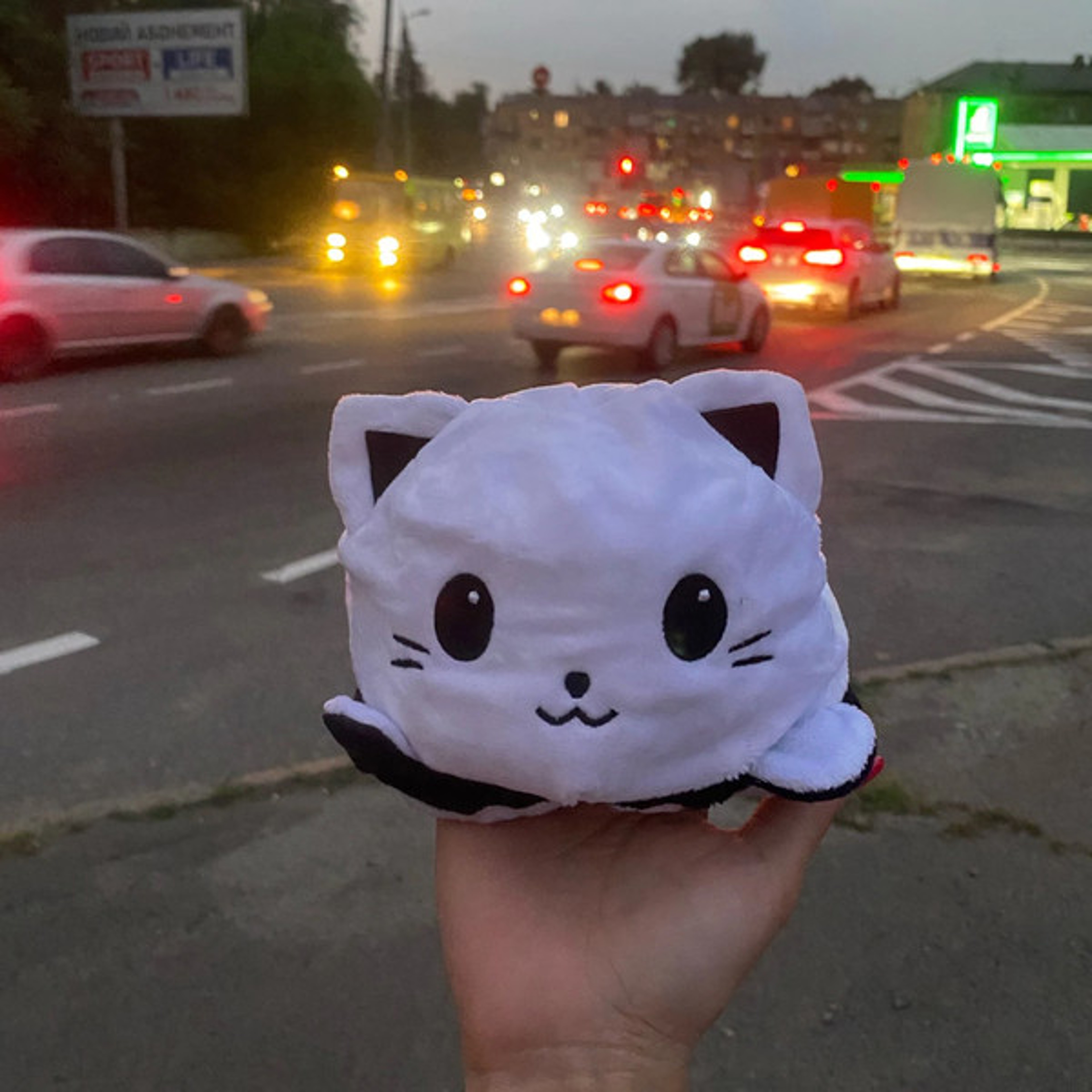 Super Cute Reversible Cartoon Cat Plushie 3