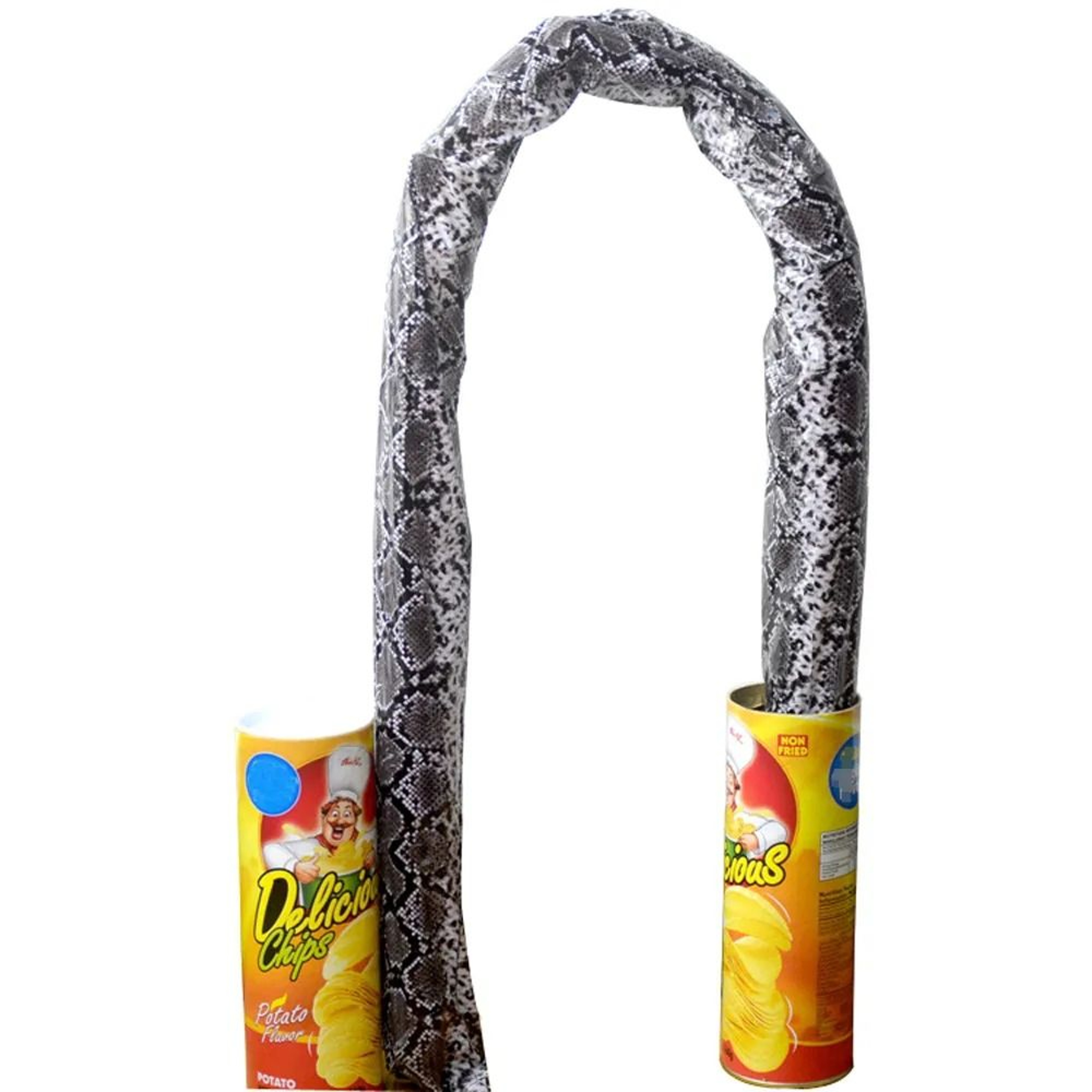 Surprise chip can toy snake