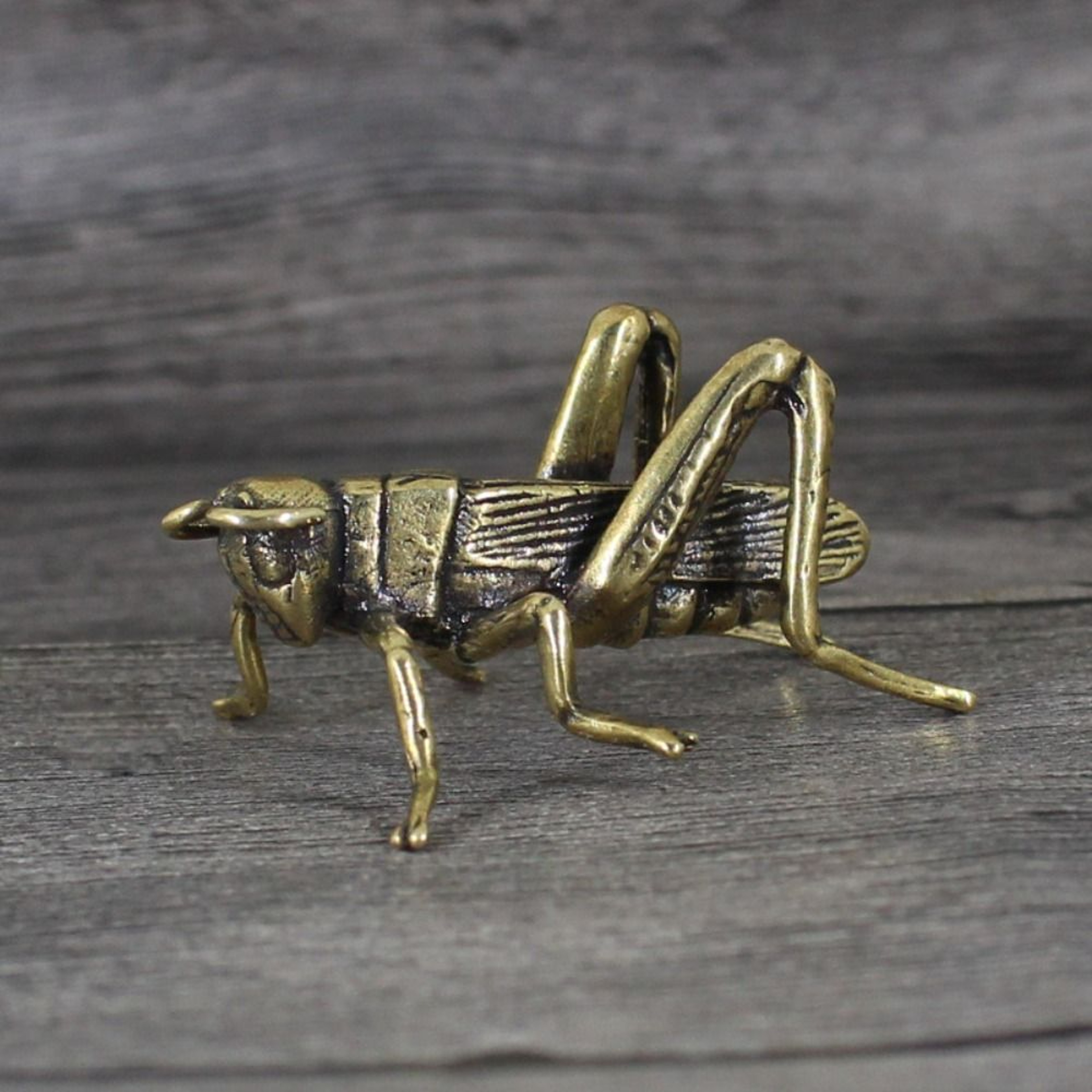 Solid Brass Cricket Figurines, Tricky Spoof Insect Toy, Retro Animal Statue, Miniature Craft Decorations – view 2