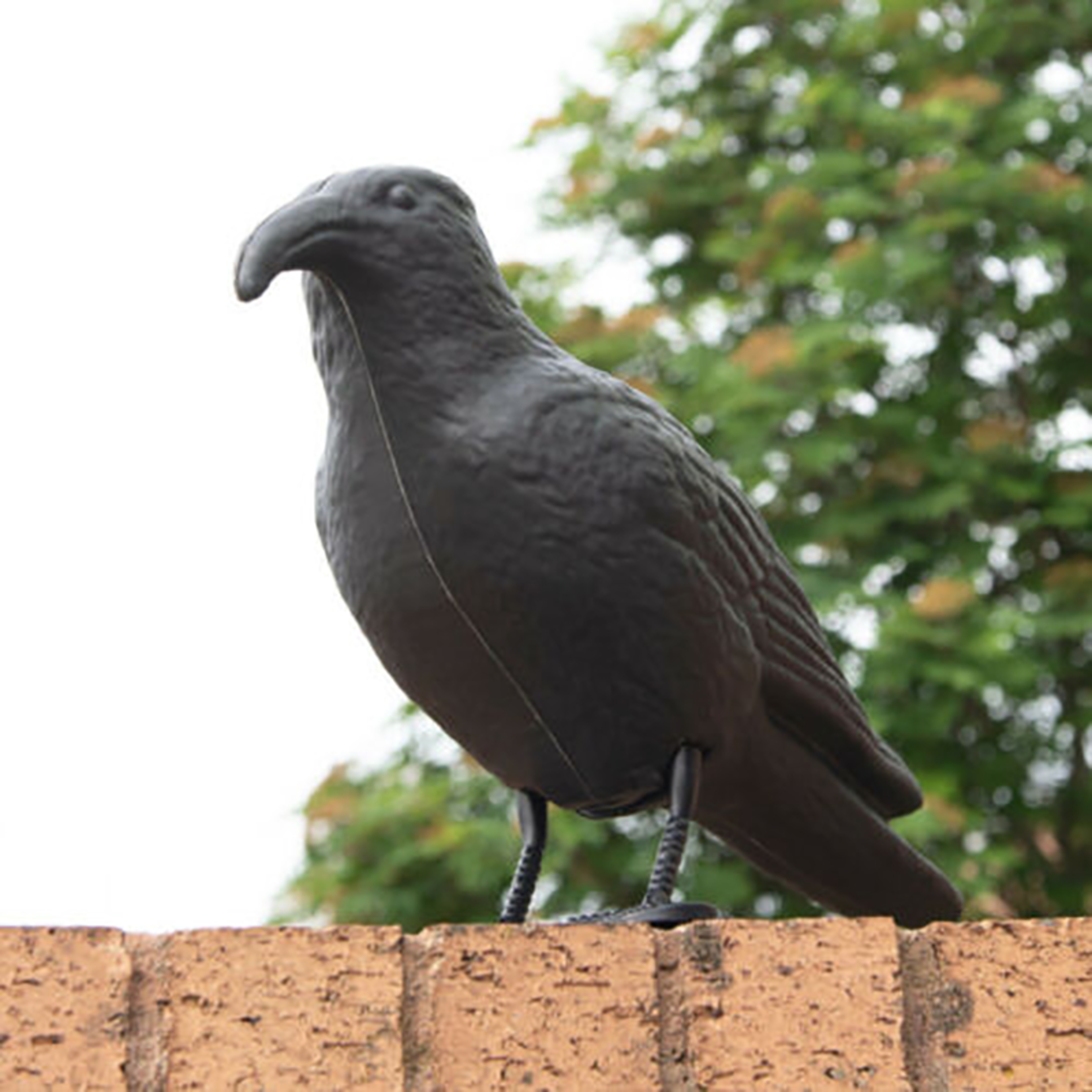 Realistic Crow Scarer Bird Decor, Lifelike Plastic Pigeon & Crow for Garden & Yard Protection – view 3