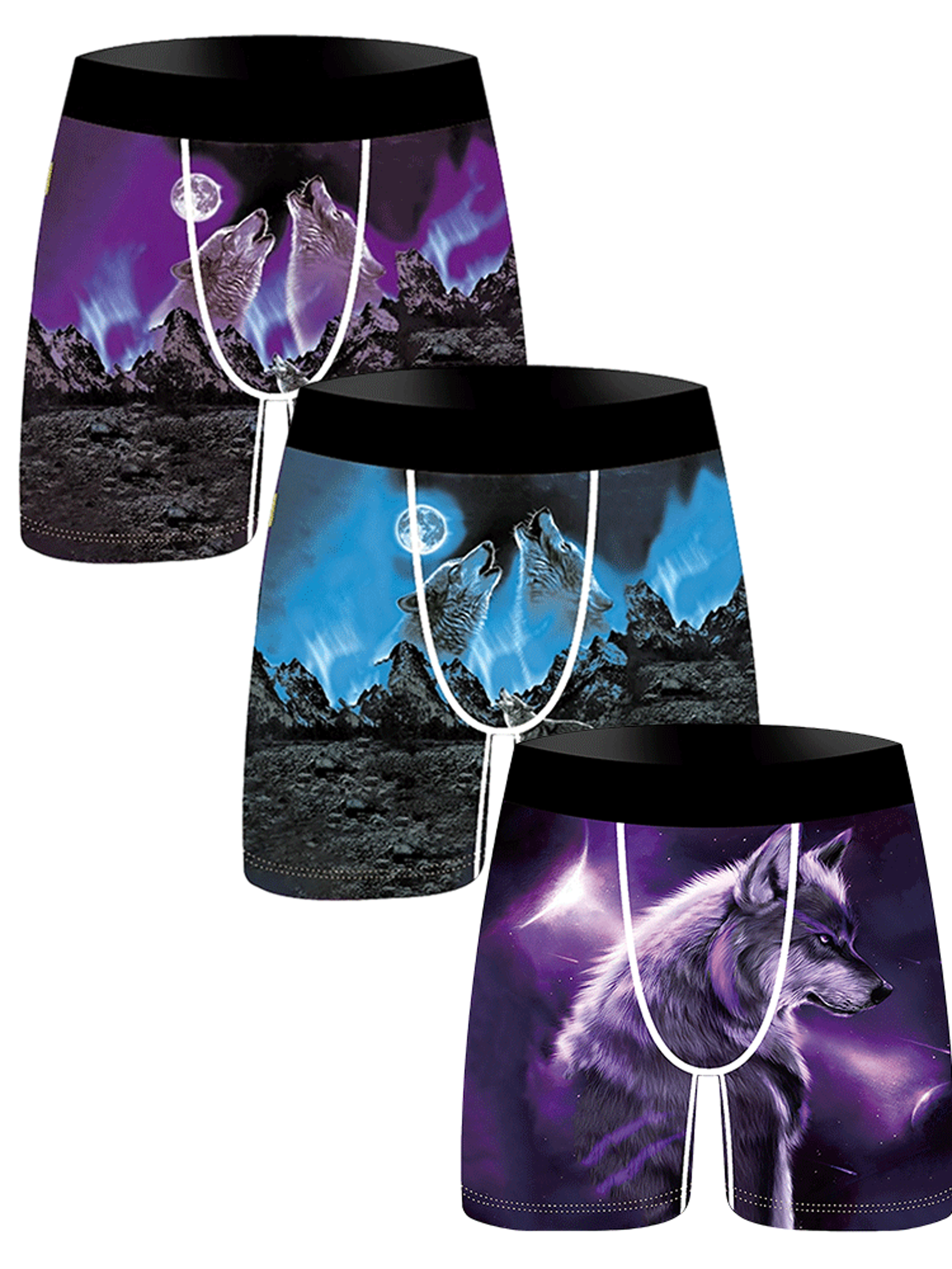 Wild Spirit Lion  Wolf Mens Boxer Briefs Breathable Printed Underwear 4