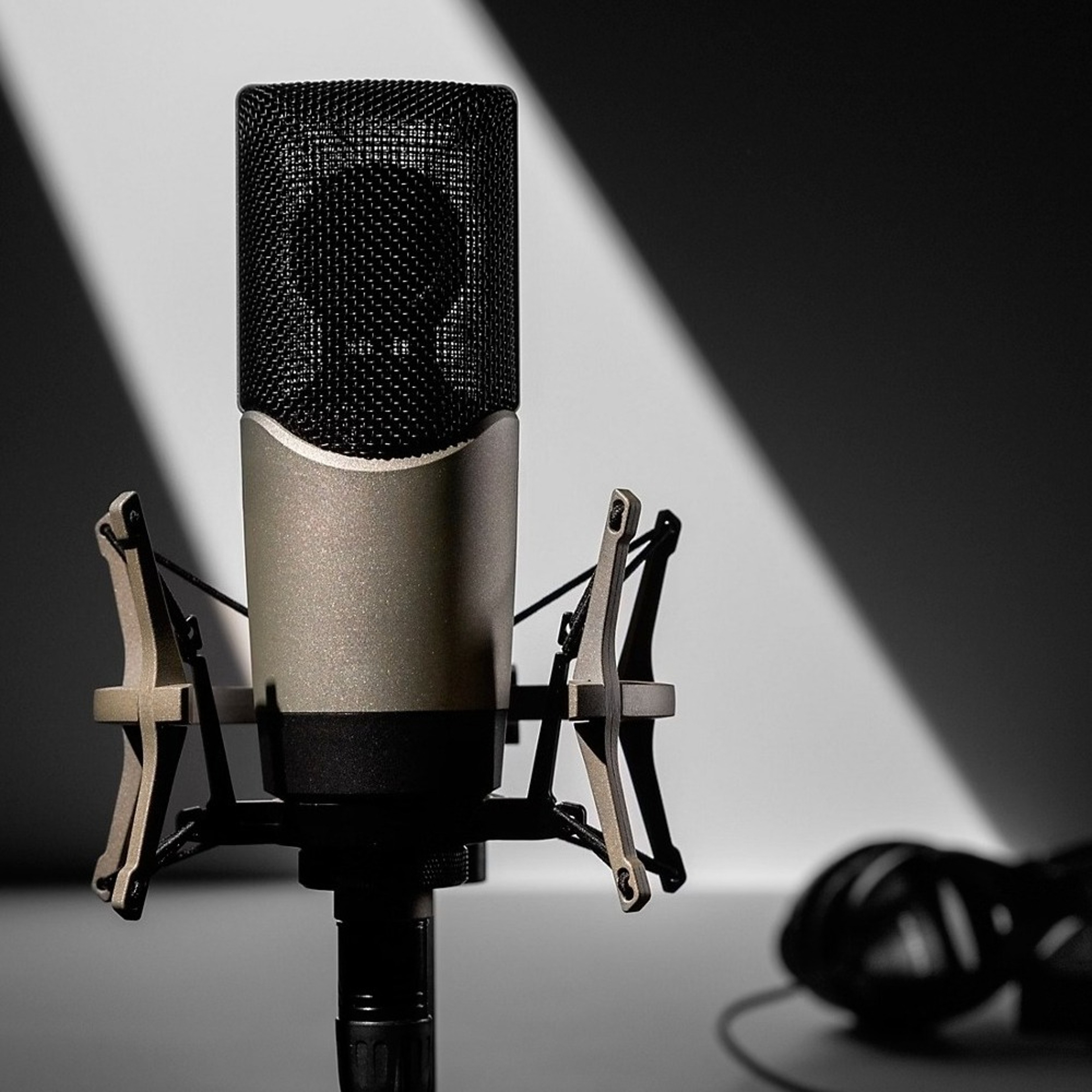 Professional XLR Condenser Microphone With Shock Mount For Streaming Recording  Podcasting 2
