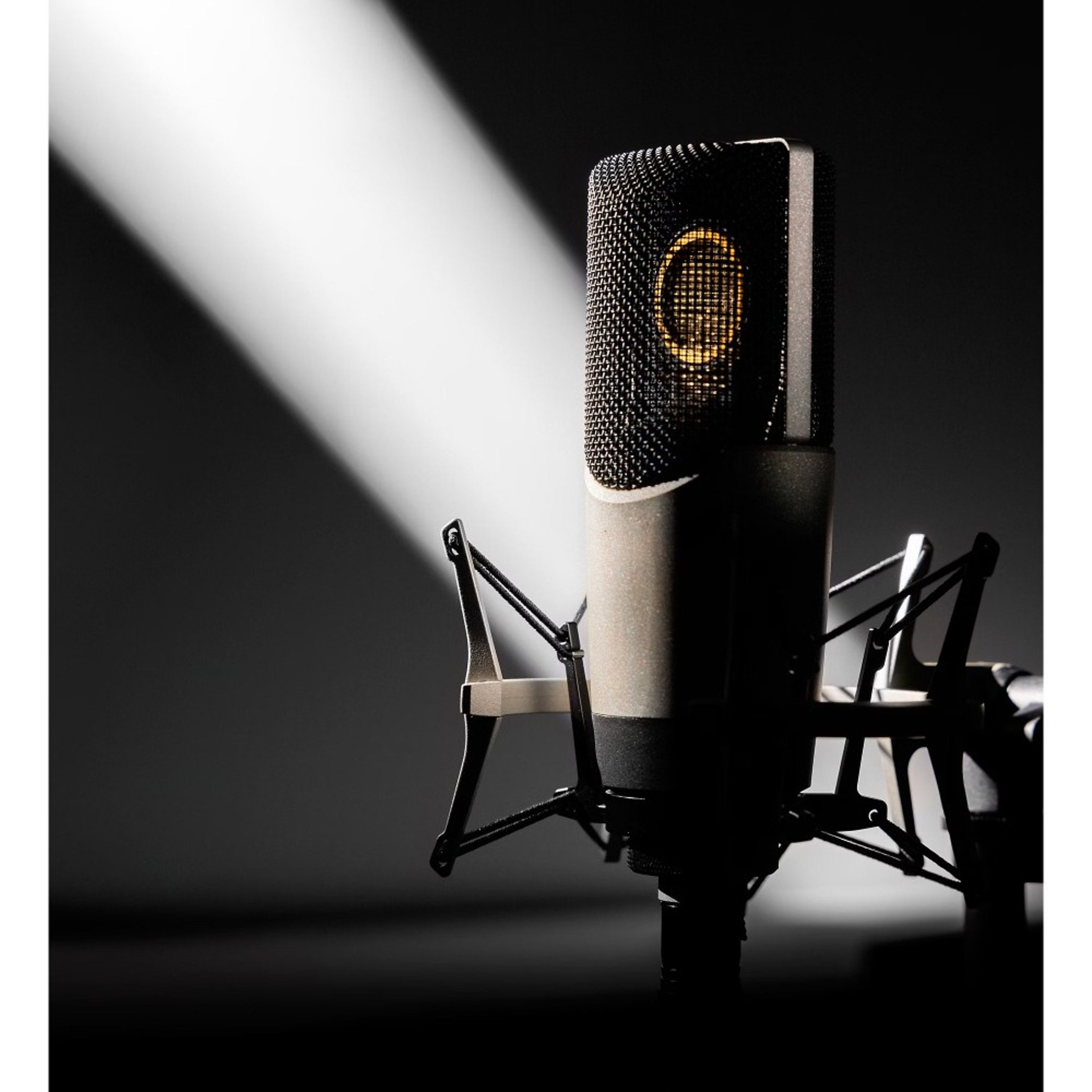 Professional XLR Condenser Microphone With Shock Mount For Streaming Recording  Podcasting 3