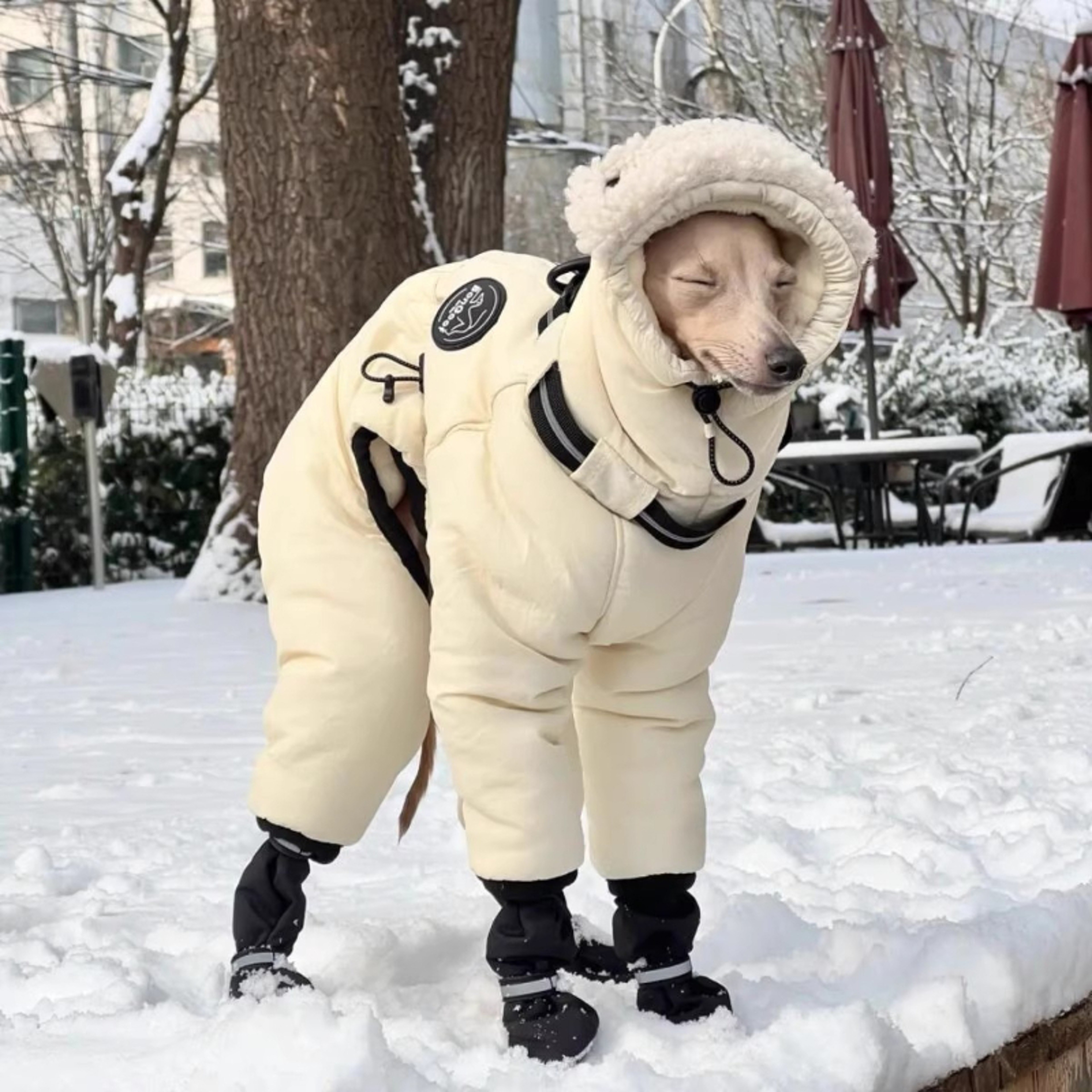 Warm Greyhound Winter Coat for Medium & Large Dogs Cotton Cold Weather Jacket – view 3