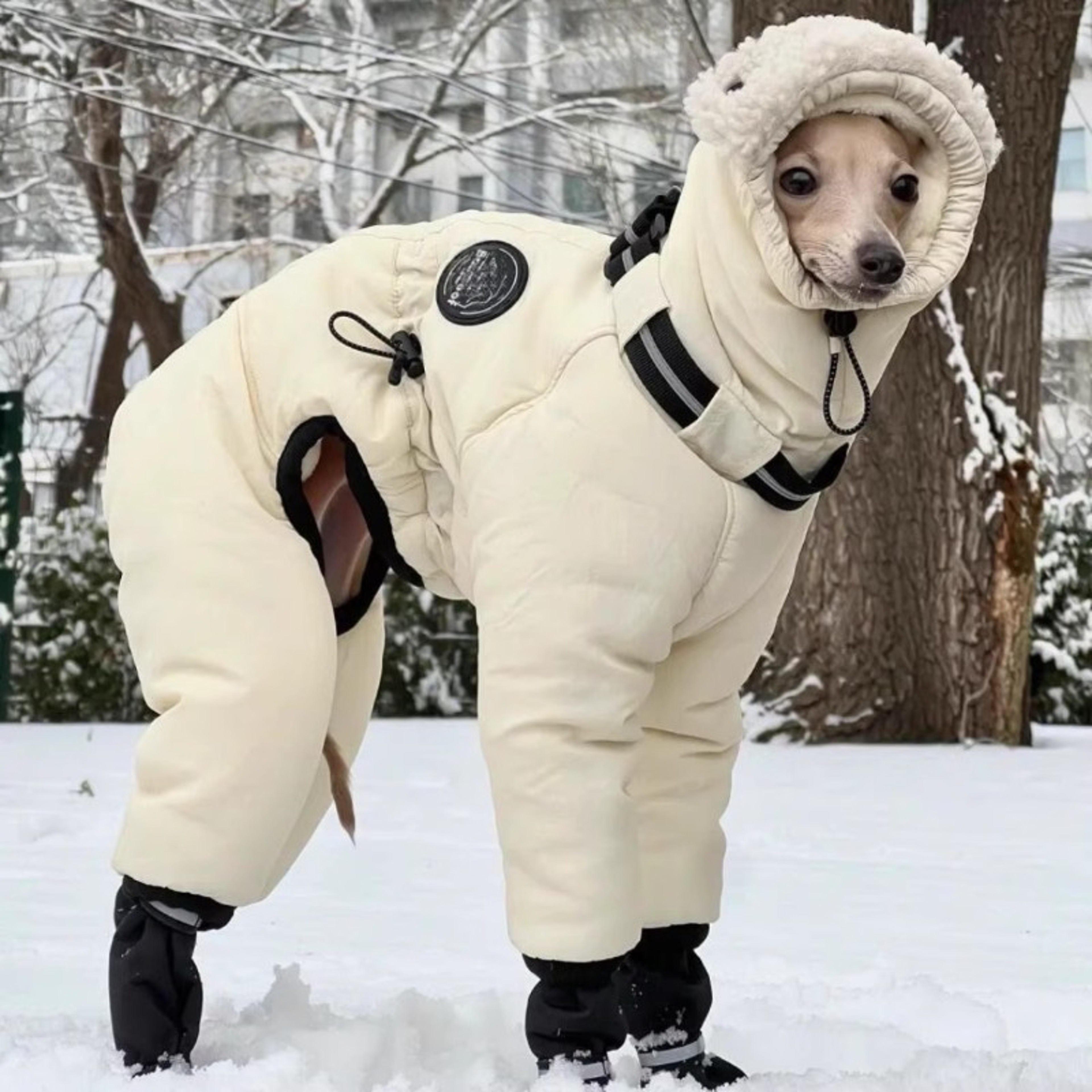 Warm Greyhound Winter Coat for Medium & Large Dogs Cotton Cold Weather Jacket – view 7