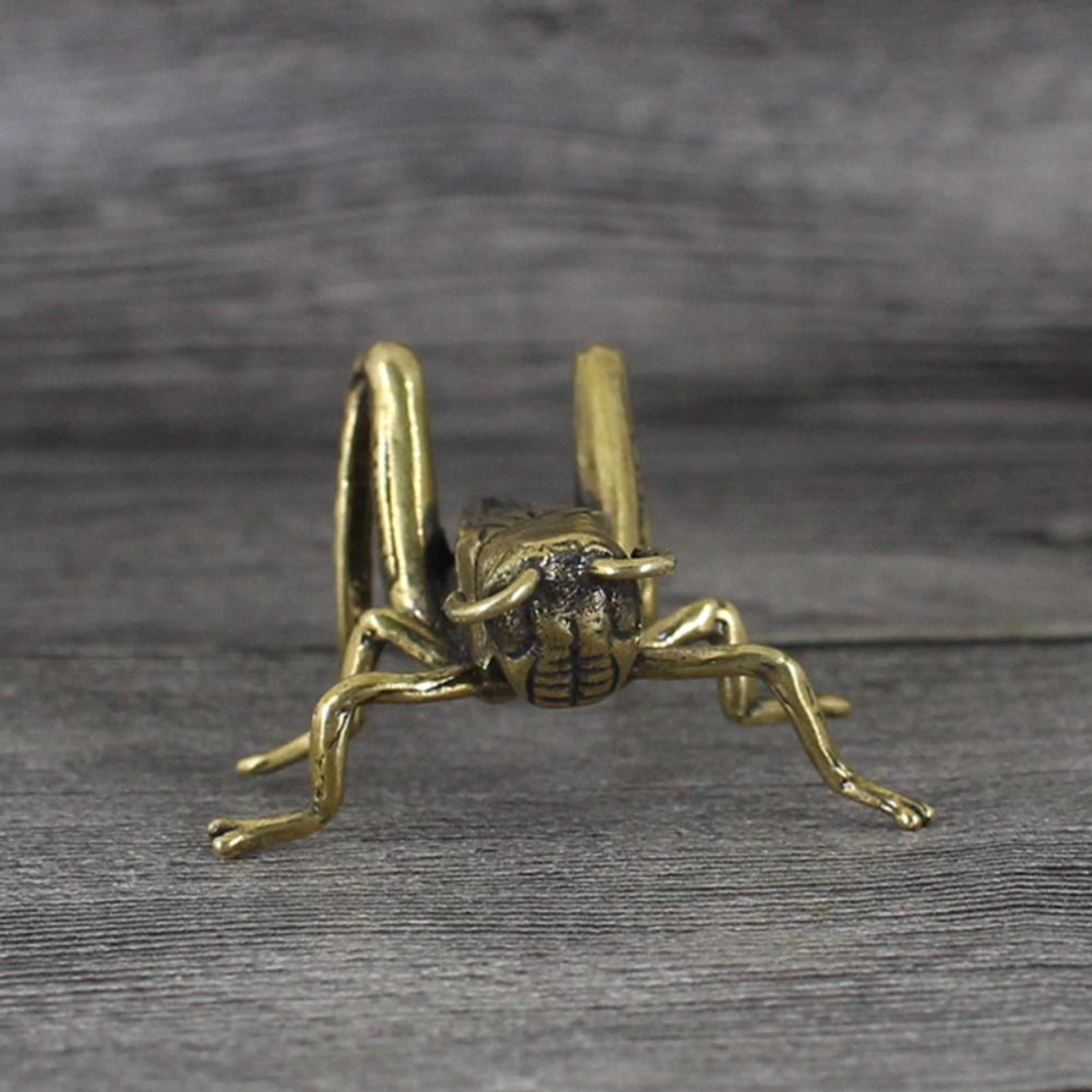Solid Brass Cricket Figurine Retro Animal Desktop Ornament 1