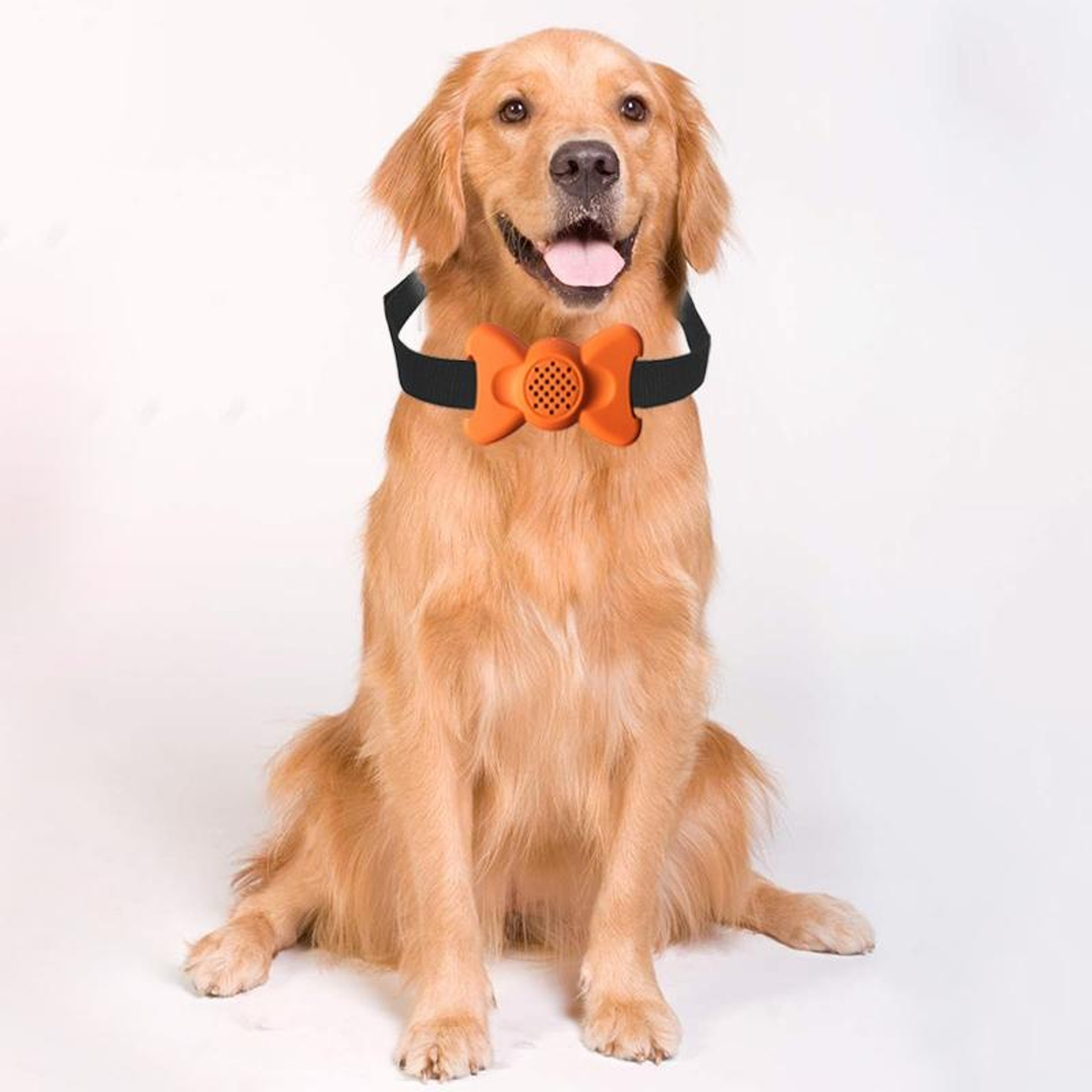 Automatic Bark Control Collar Voice Activated Dog Training Collar For All Breeds 5