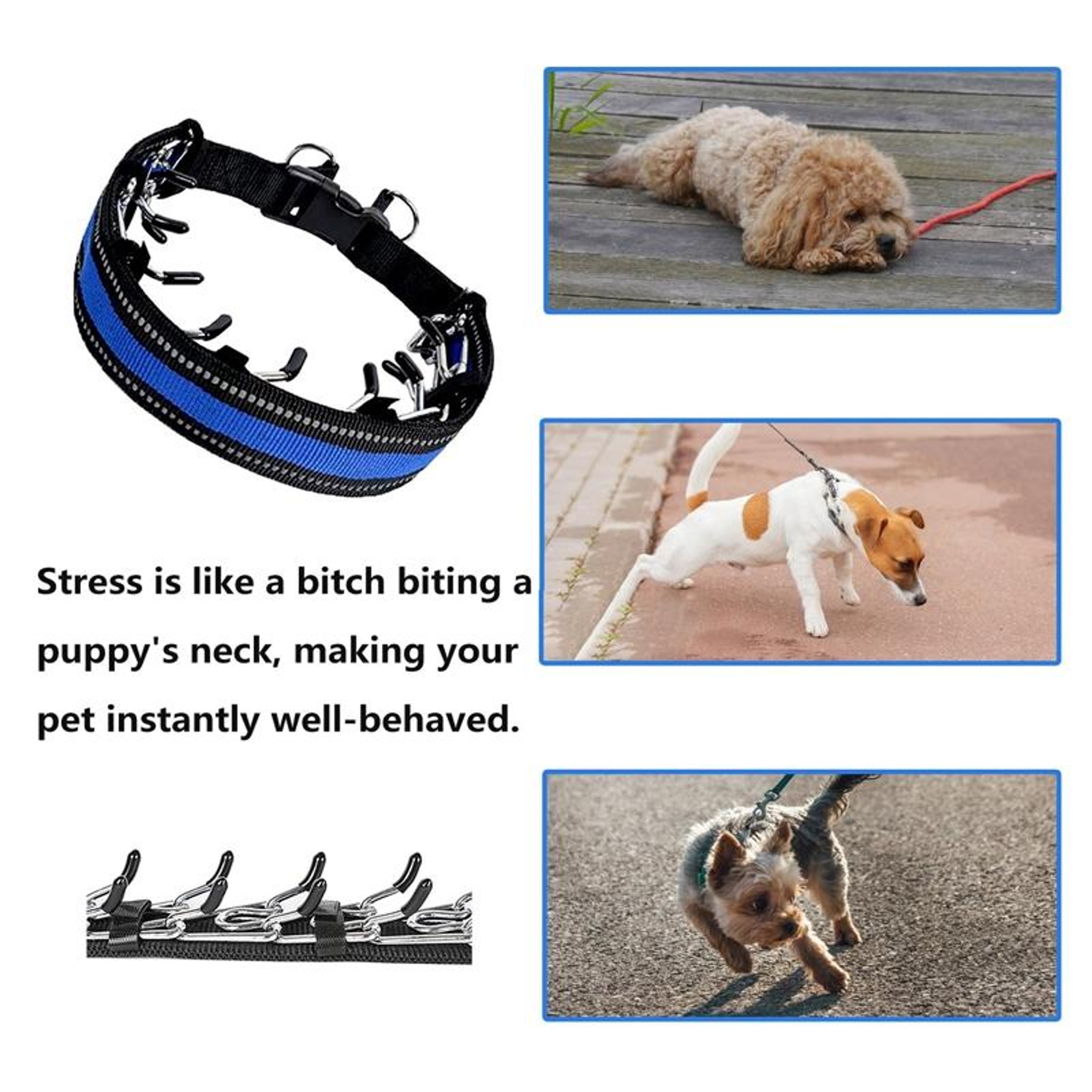 Adjustable Dog Training Chain Collar For Small Dogs 3