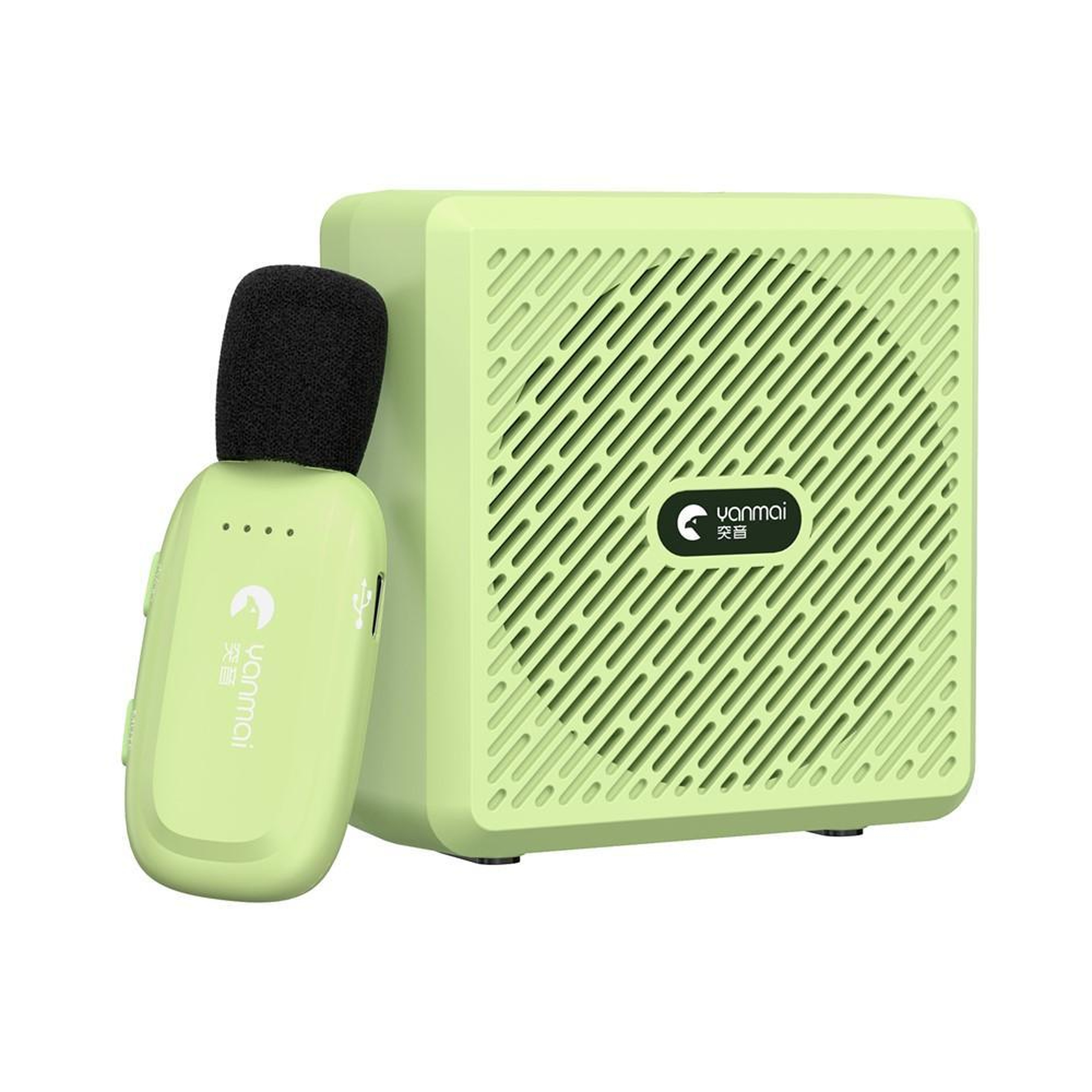 Wireless Bluetooth Voice Amplifier Lapel Microphone for Teaching & Training – view 13