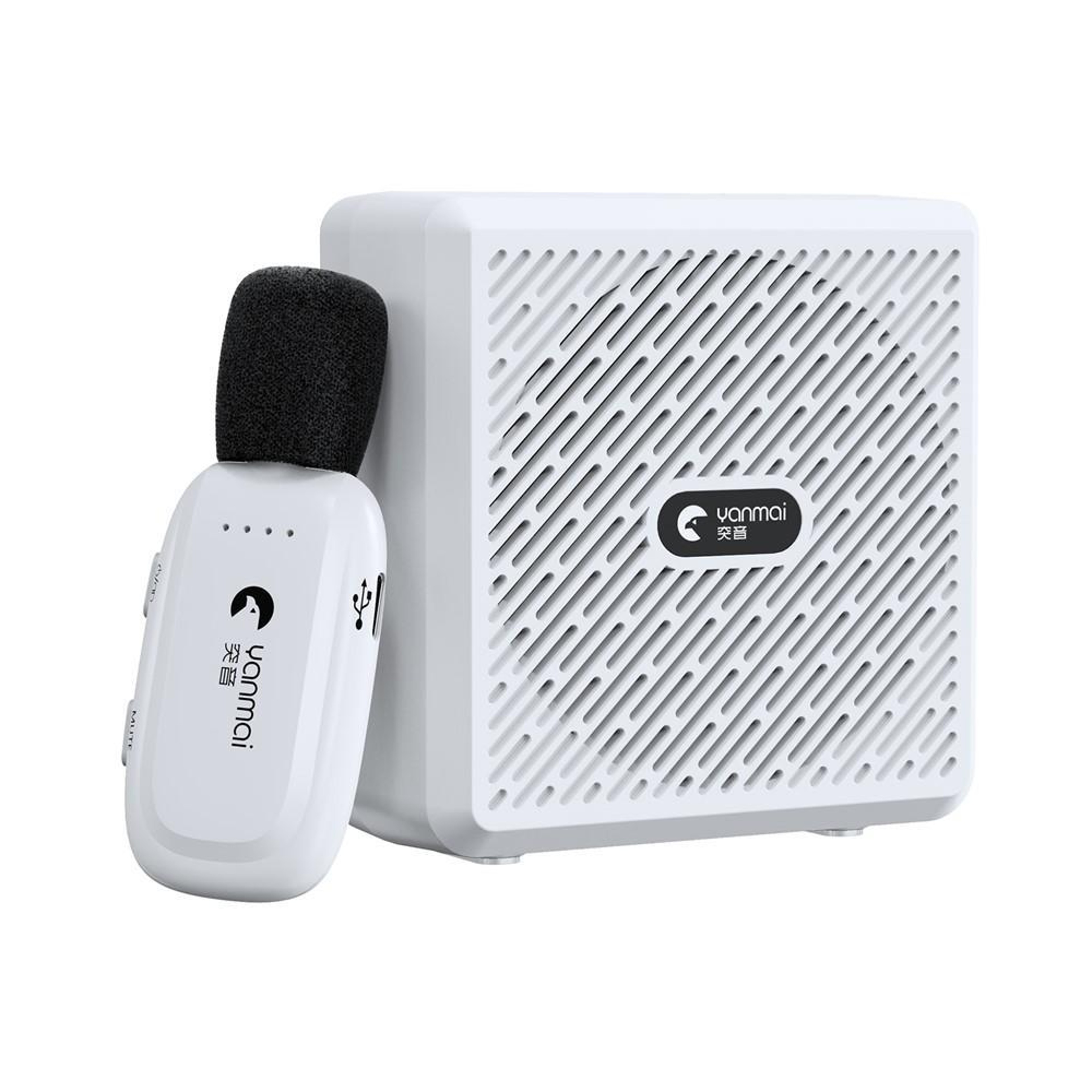 Wireless Bluetooth Voice Amplifier Lapel Microphone for Teaching & Training – view 14