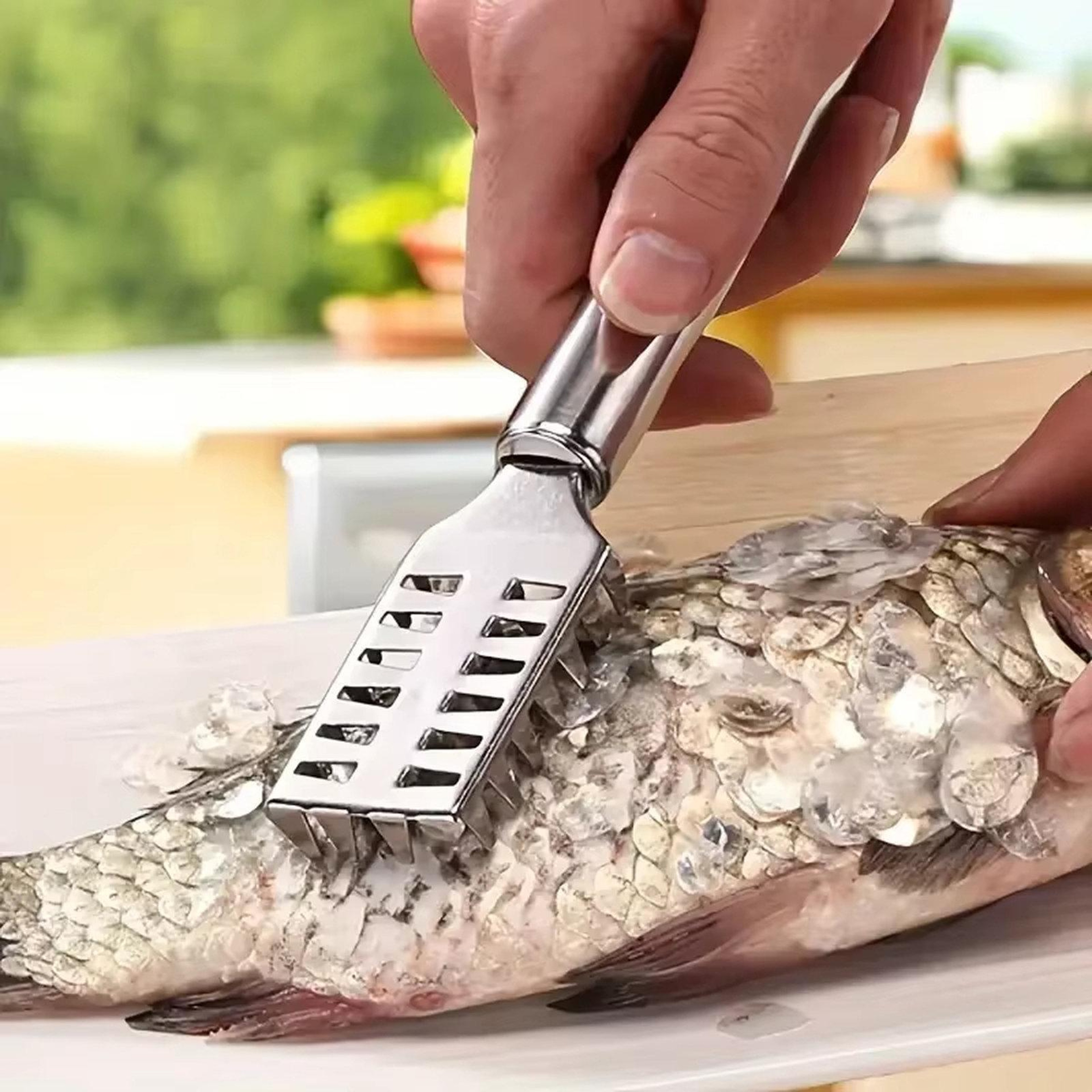 Square Stainless Steel Fish Scaler Fish Scale Remover Tool 3