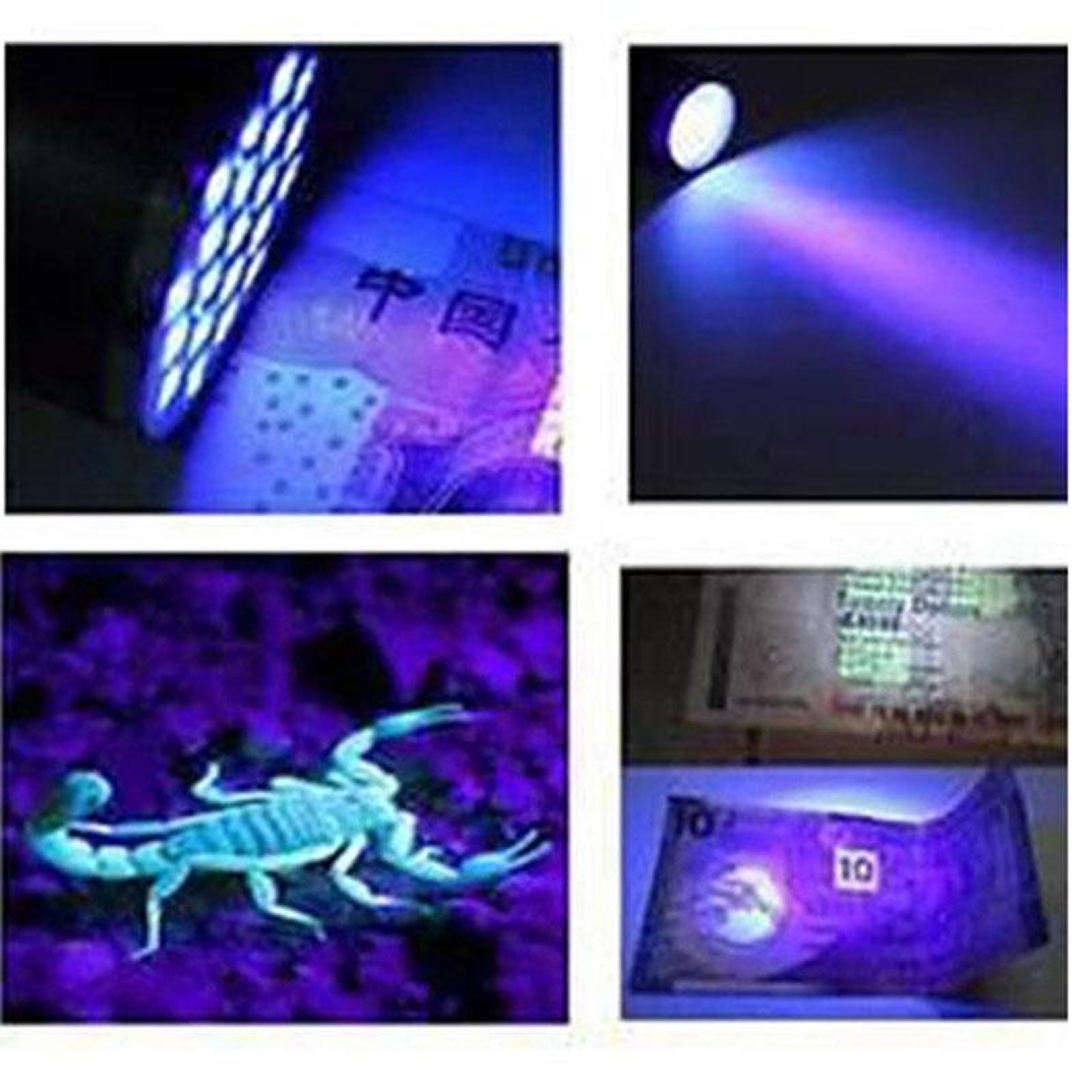 Mini UV Flashlight Blacklight Detector Set 4