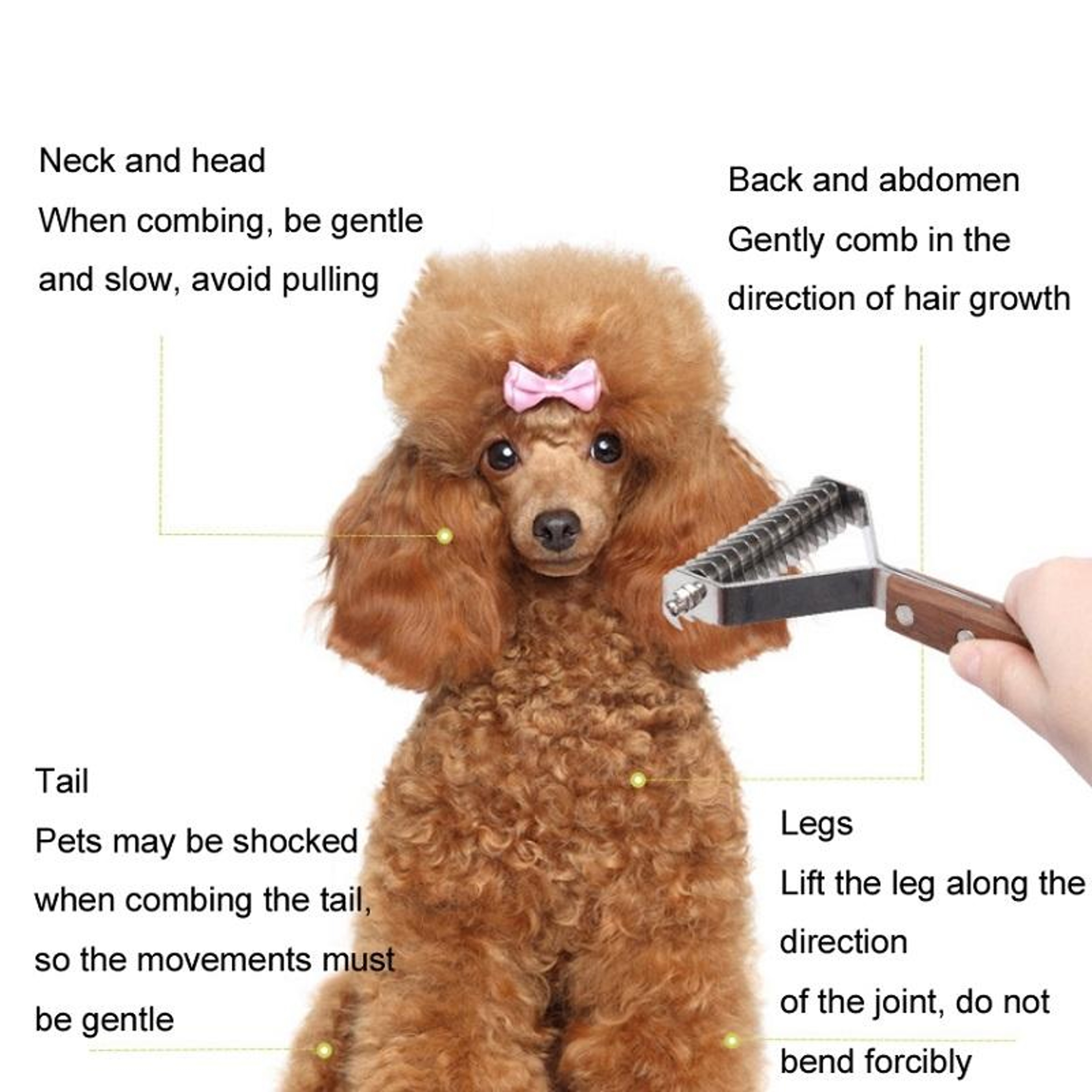 Premium Walnut Handle Pet Grooming Comb With Durable Stainless Steel Pet Comb Teeth 4