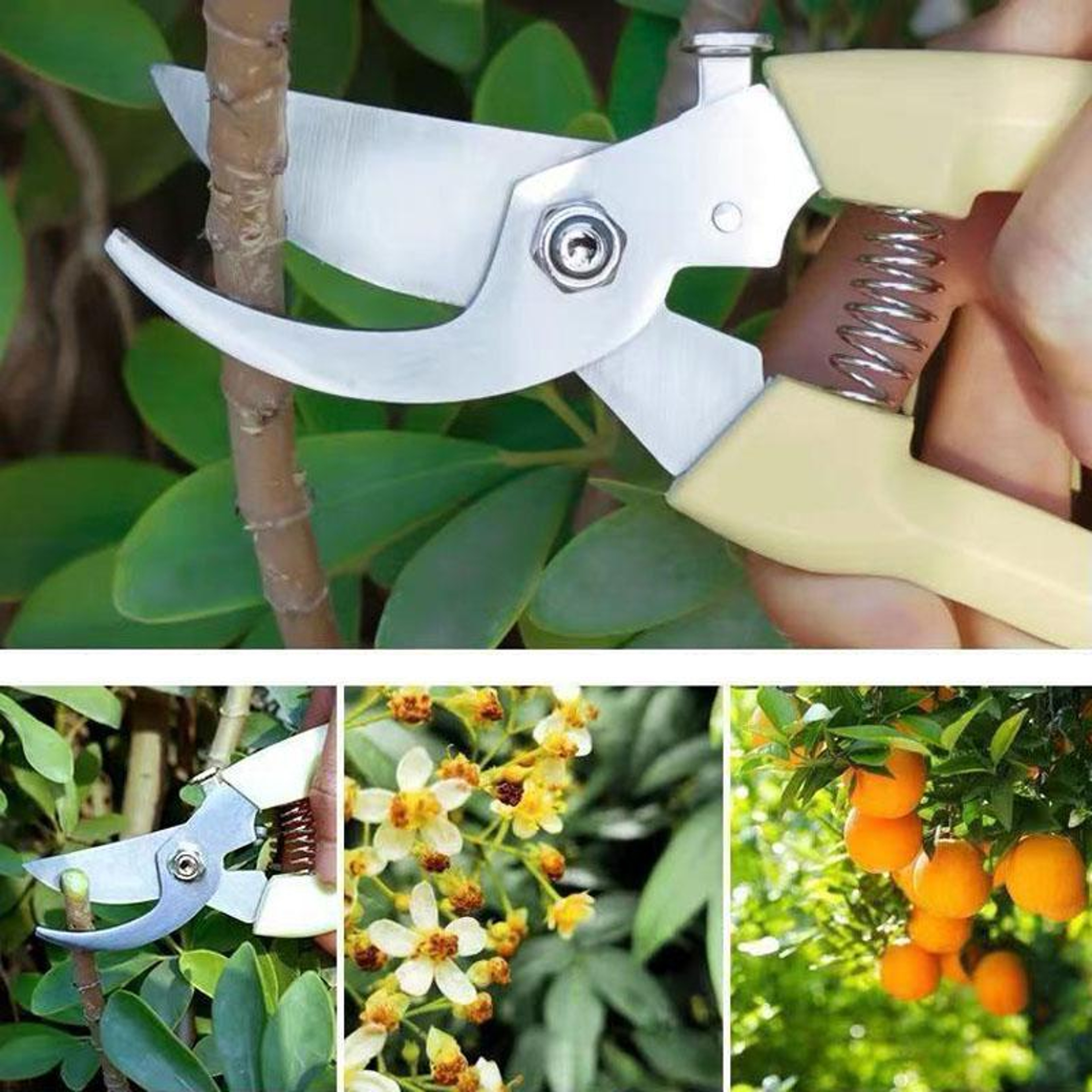 High Performance Stainless Steel Pruning Shears for Gardening, Flower Trimming & Fruit Picking – view 8