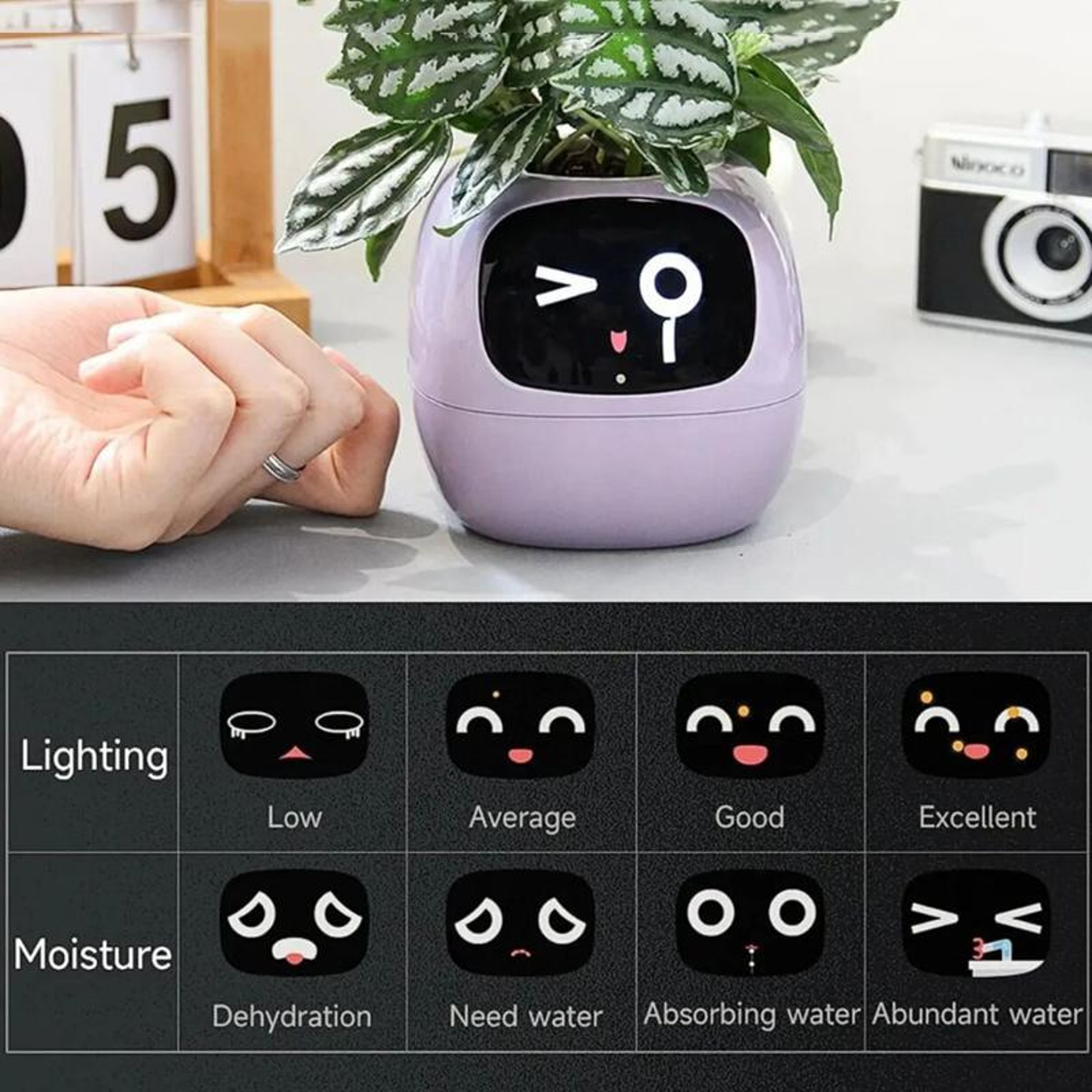 Smart WiFi Plant Pot With Multi Sensor Monitor  Screen Compatible 6