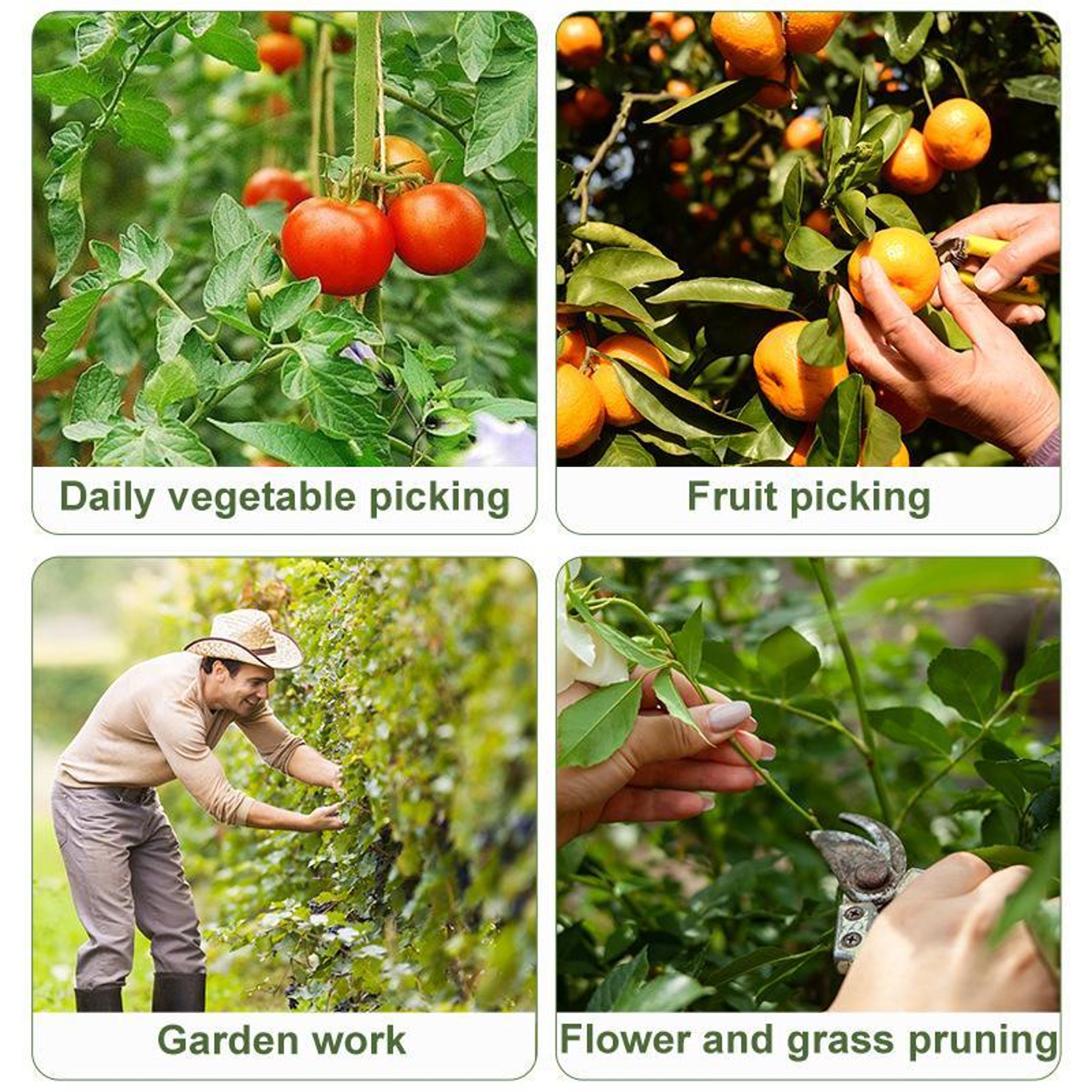 Fruit & Vegetable Picking Tool Set with Thumb Cutter Knives Garden & Harvest Helper – view 5