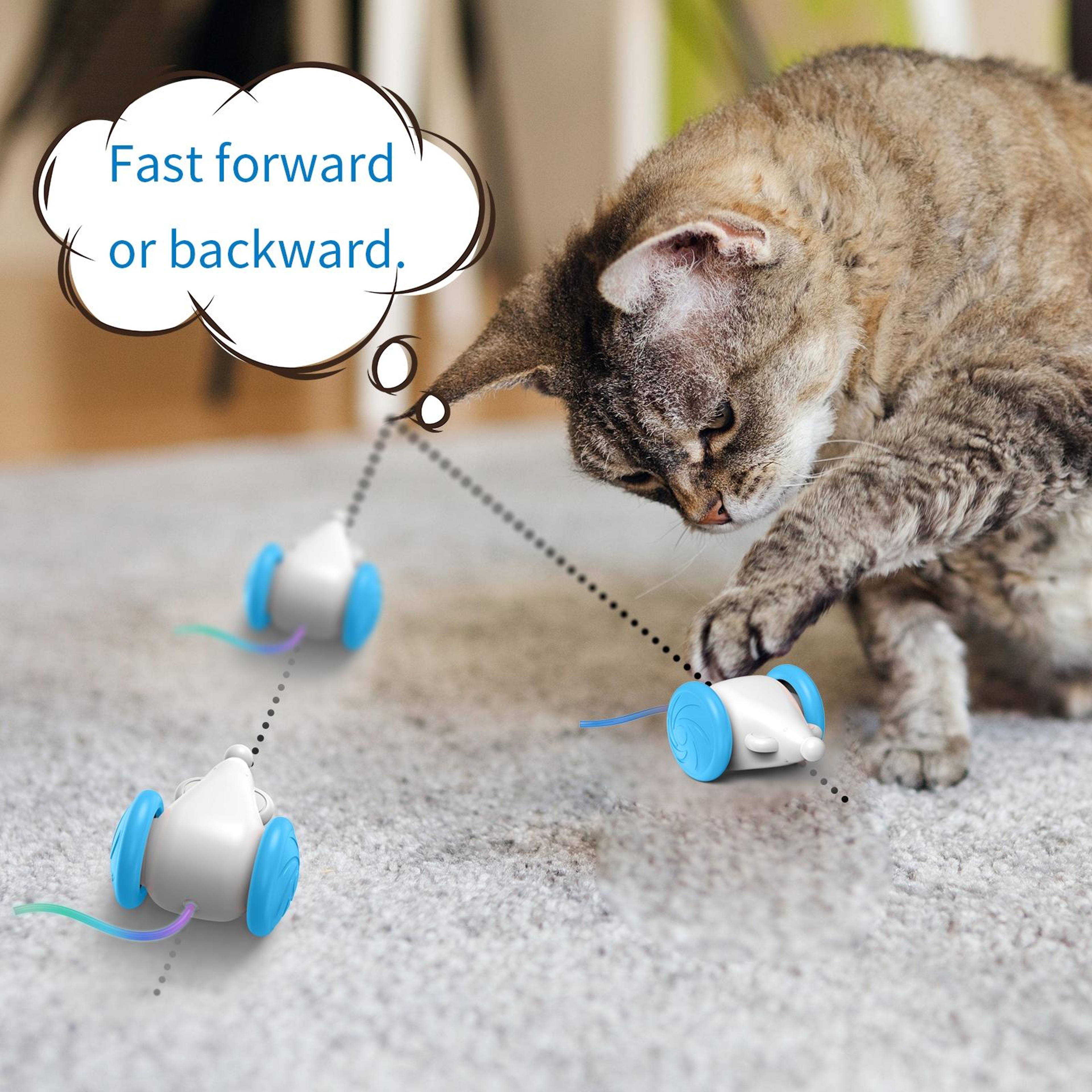 Interactive Automatic Cat Mouse Toy Motion Activated LED Pet Exercise Toy for Cats – view 4
